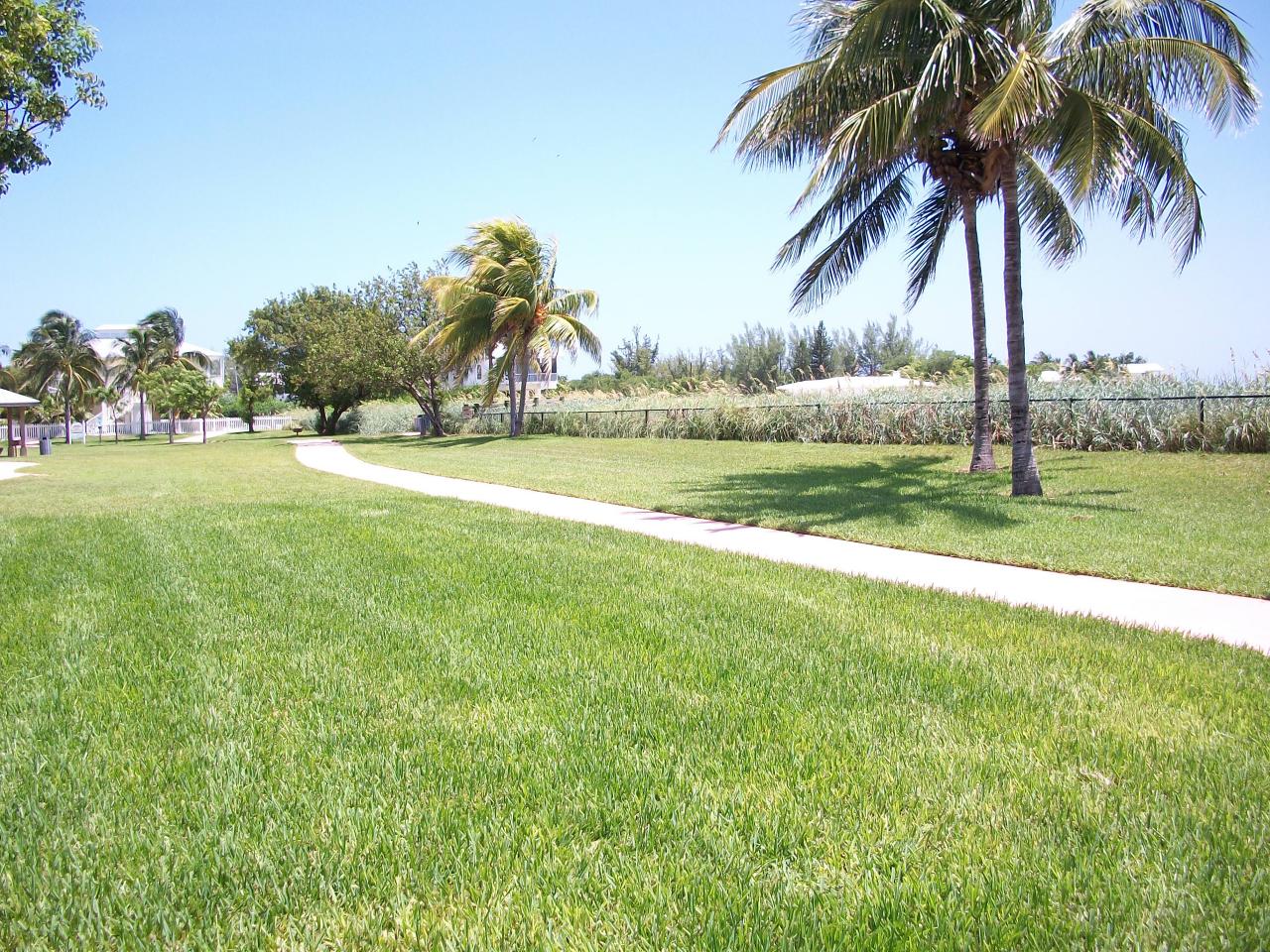 40 Treasure Road Marathon, FL 33050 - Photo 5 of 16 Beach View