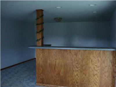 1350 Pinckney Road Saranac, MI 48881 - Photo 10 of 12 Additional Photo