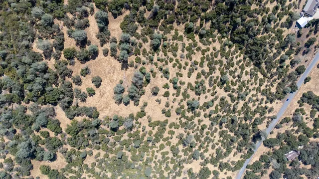 $74,900 | 13044 Kanaka Drive, Jamestown, CA 95327