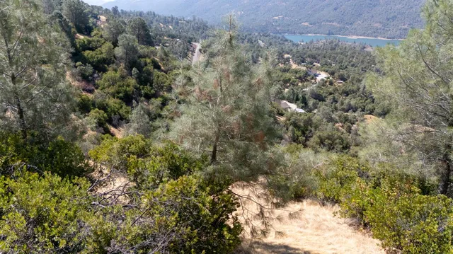 $74,900 | 13044 Kanaka Drive, Jamestown, CA 95327