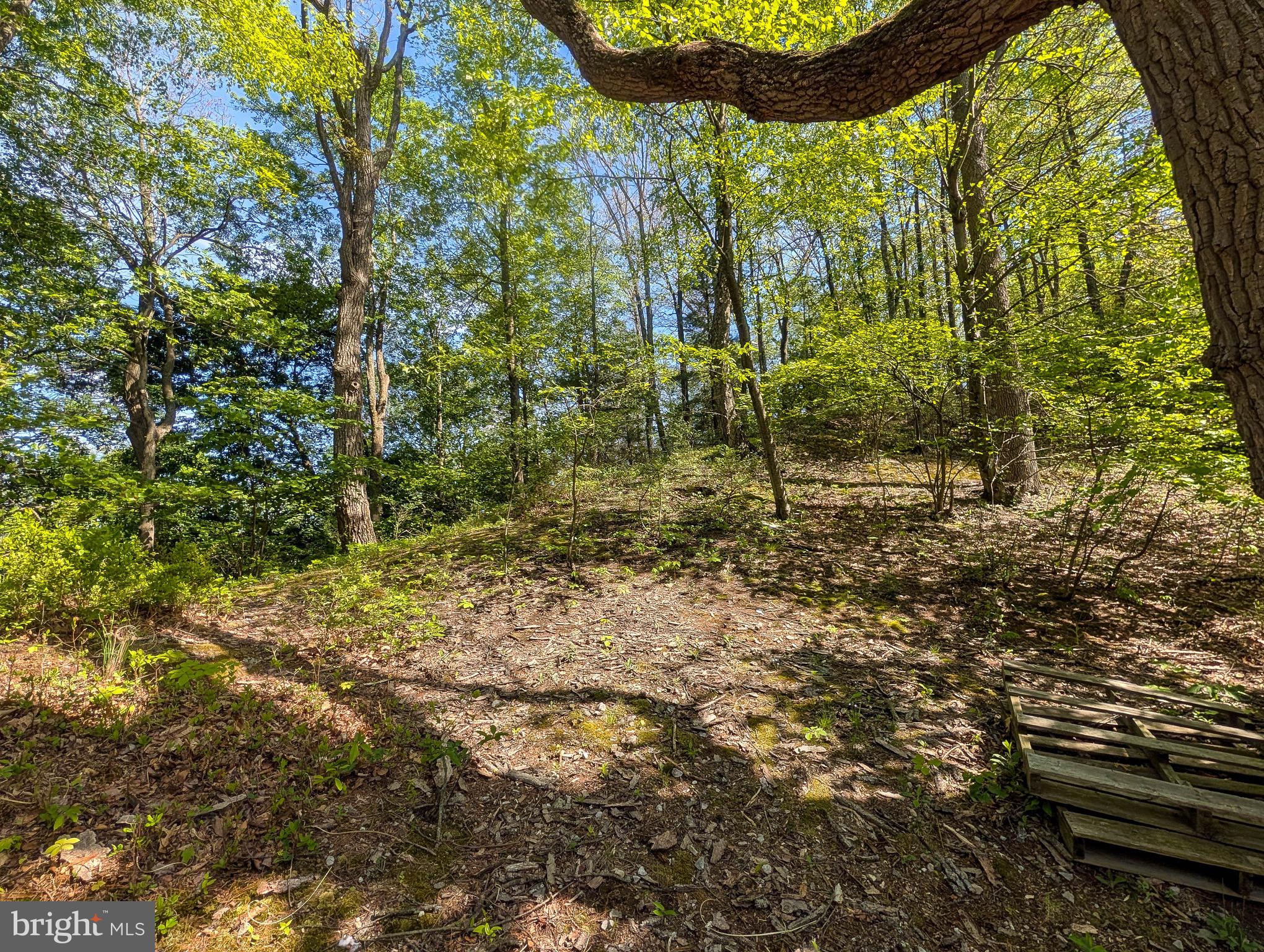 48 West 3rd Street Everett, PA 15537 - Photo 67 of 83
