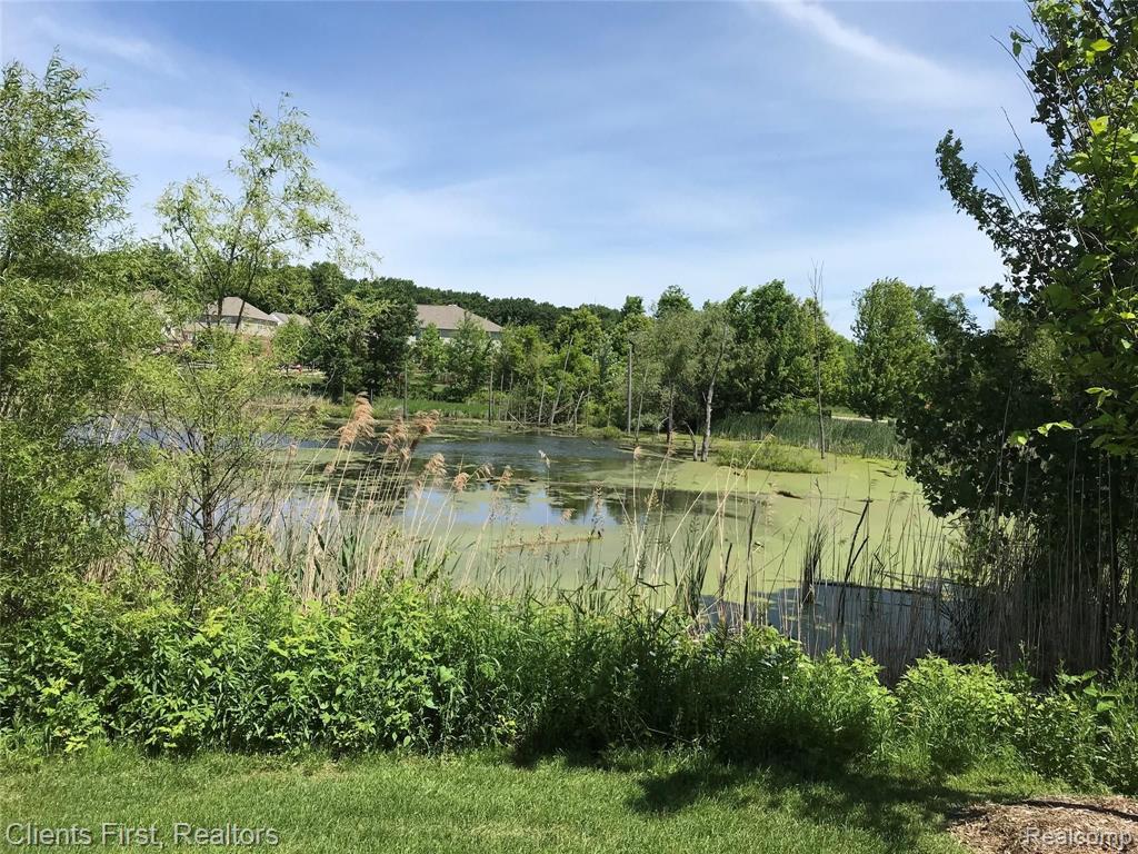 28058 Lightfoot Lane, Unit 324 Novi, MI 48377 - Photo 41 of 46