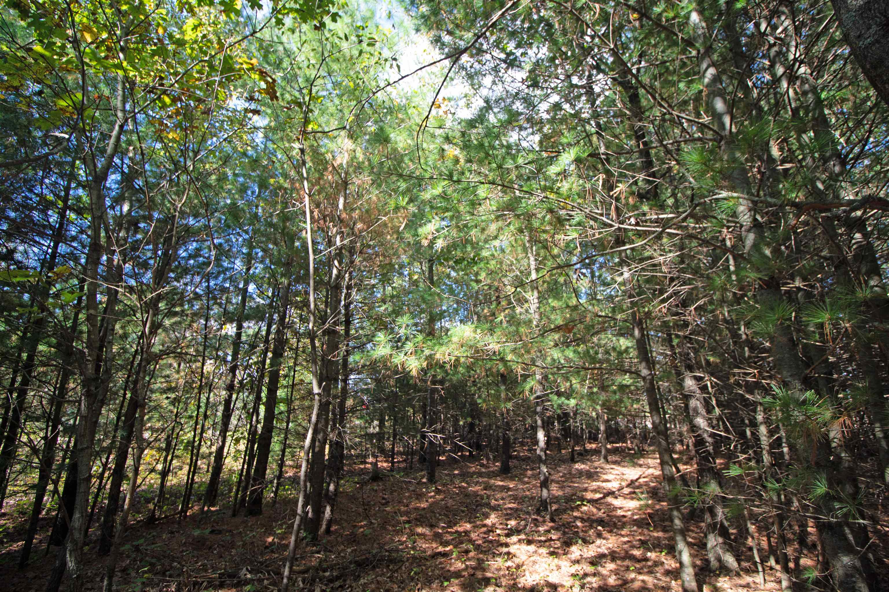 Lot 1 White Pine Spring Green Spring Green, WI 53588 - Photo 20 of 25 Gallery Image 20