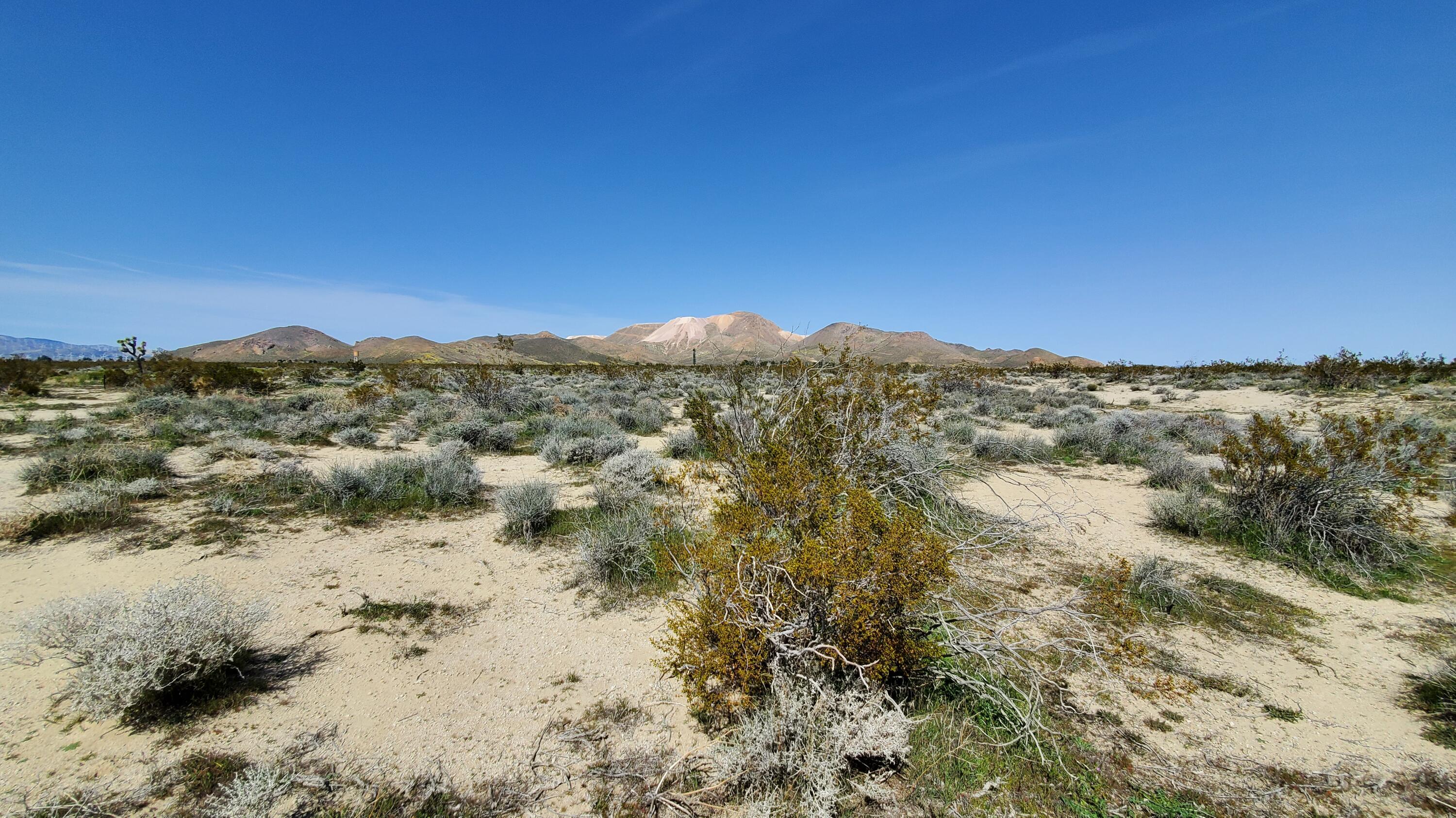 Vicinity 25th Street West Mojave, CA 93501 - Photo 11 of 26 a view of mountain view with mountains