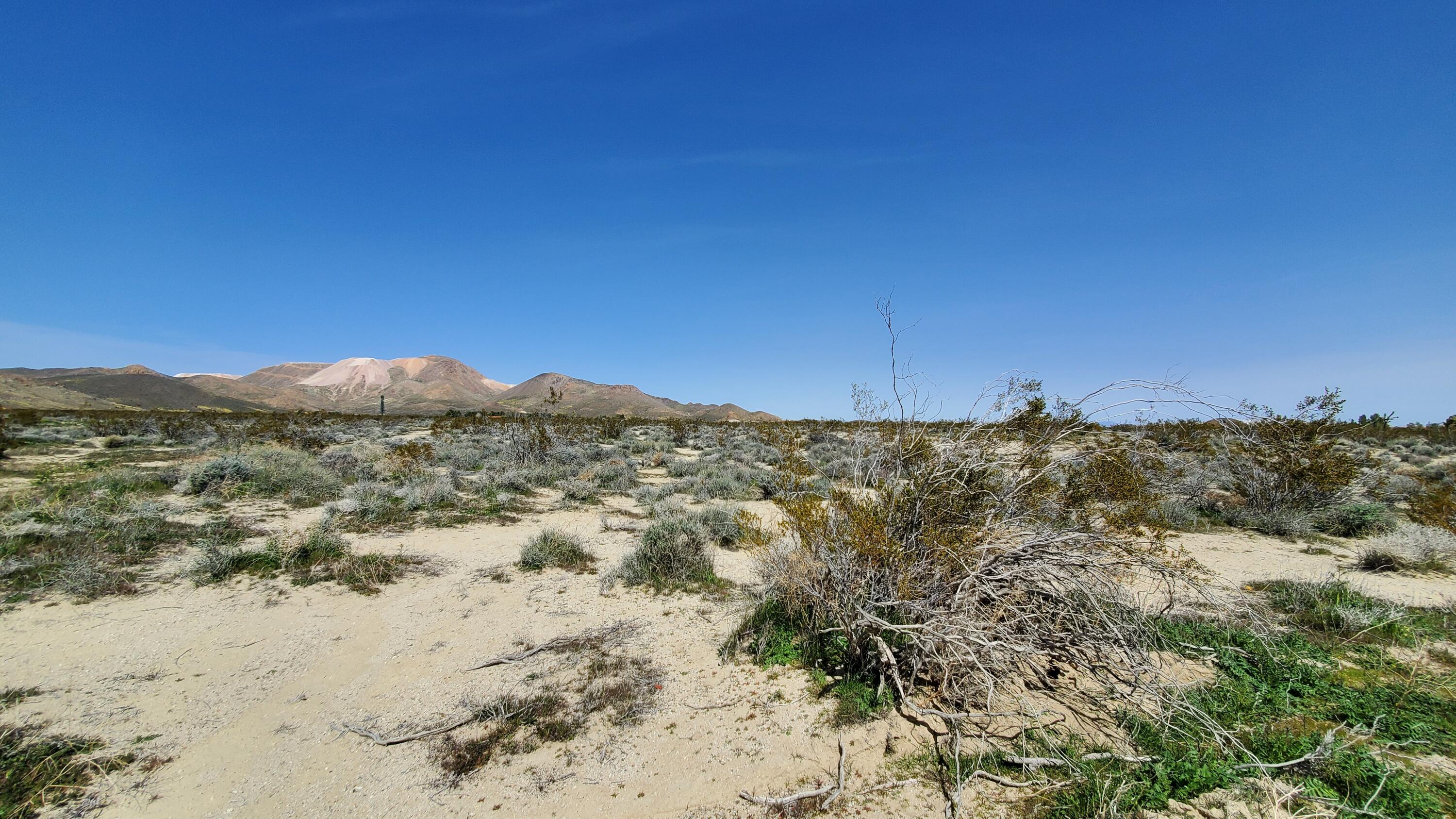 Vicinity 25th Street West Mojave, CA 93501 - Photo 12 of 26 a view of a large body of water with a building in the background