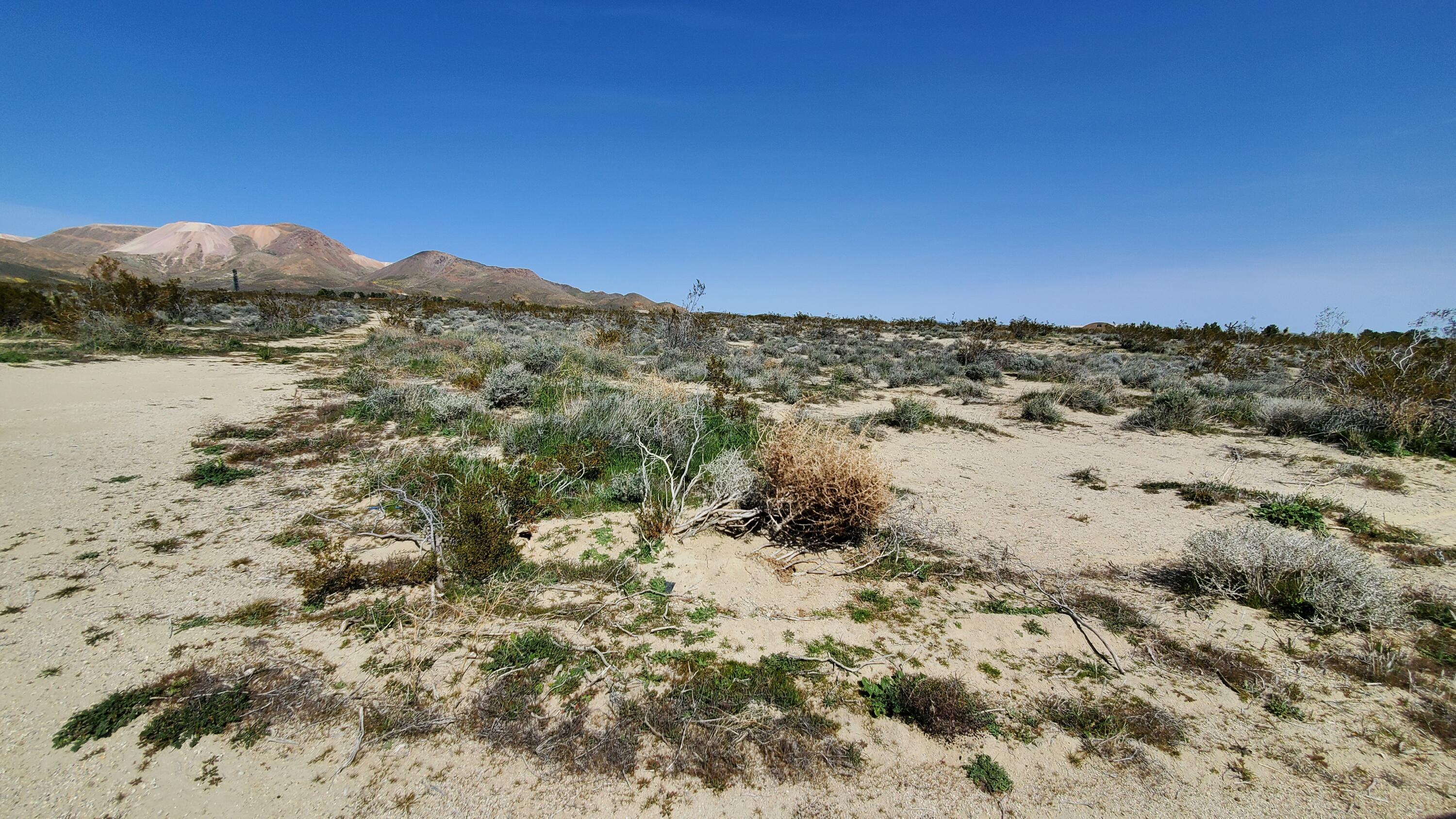 Vicinity 25th Street West Mojave, CA 93501 - Photo 13 of 26 a view of a lake with a mountain in the background
