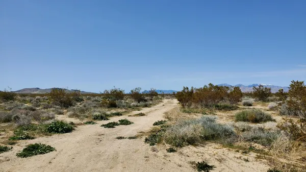 a view of a beach with a mountain in the background