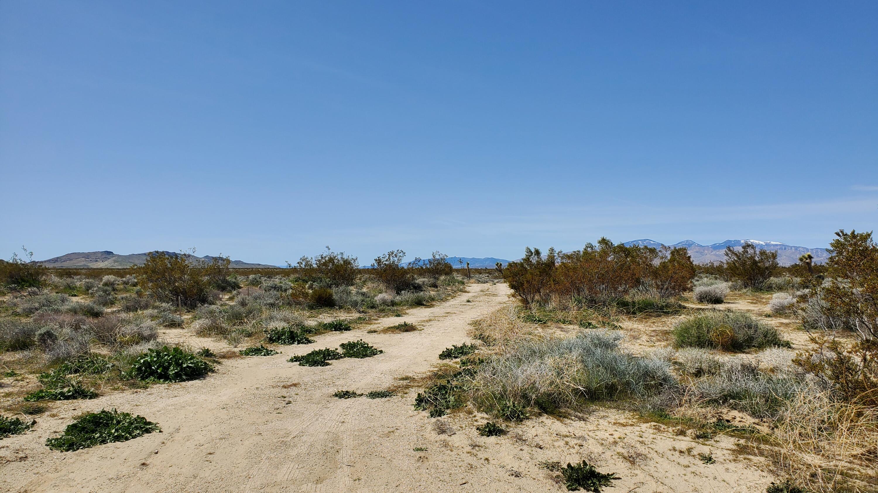 Vicinity 25th Street West Mojave, CA 93501 - Photo 3 of 26 a view of a beach with a mountain in the background