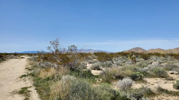 a view of lake and mountain