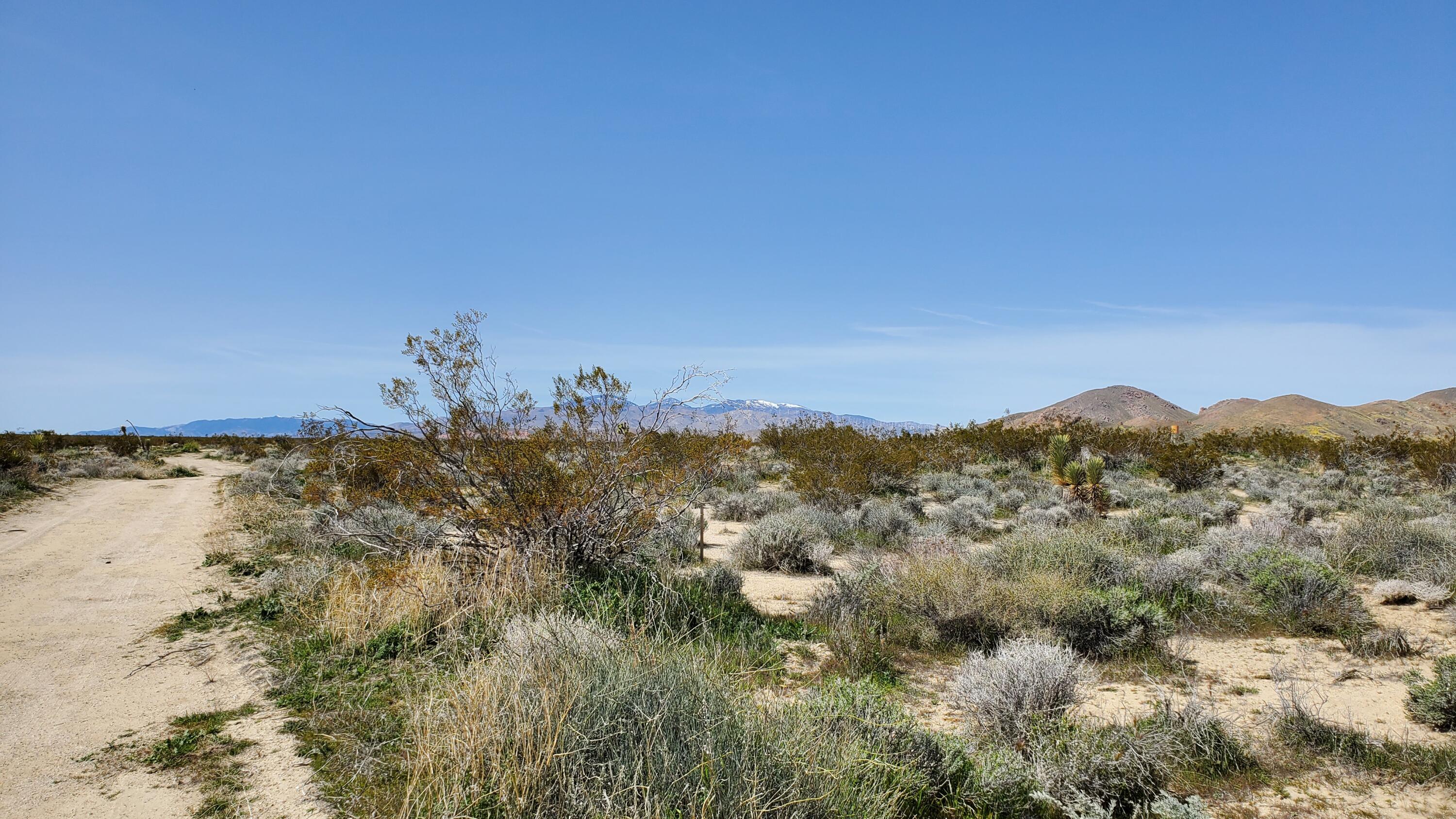 Vicinity 25th Street West Mojave, CA 93501 - Photo 4 of 26 a view of lake and mountain
