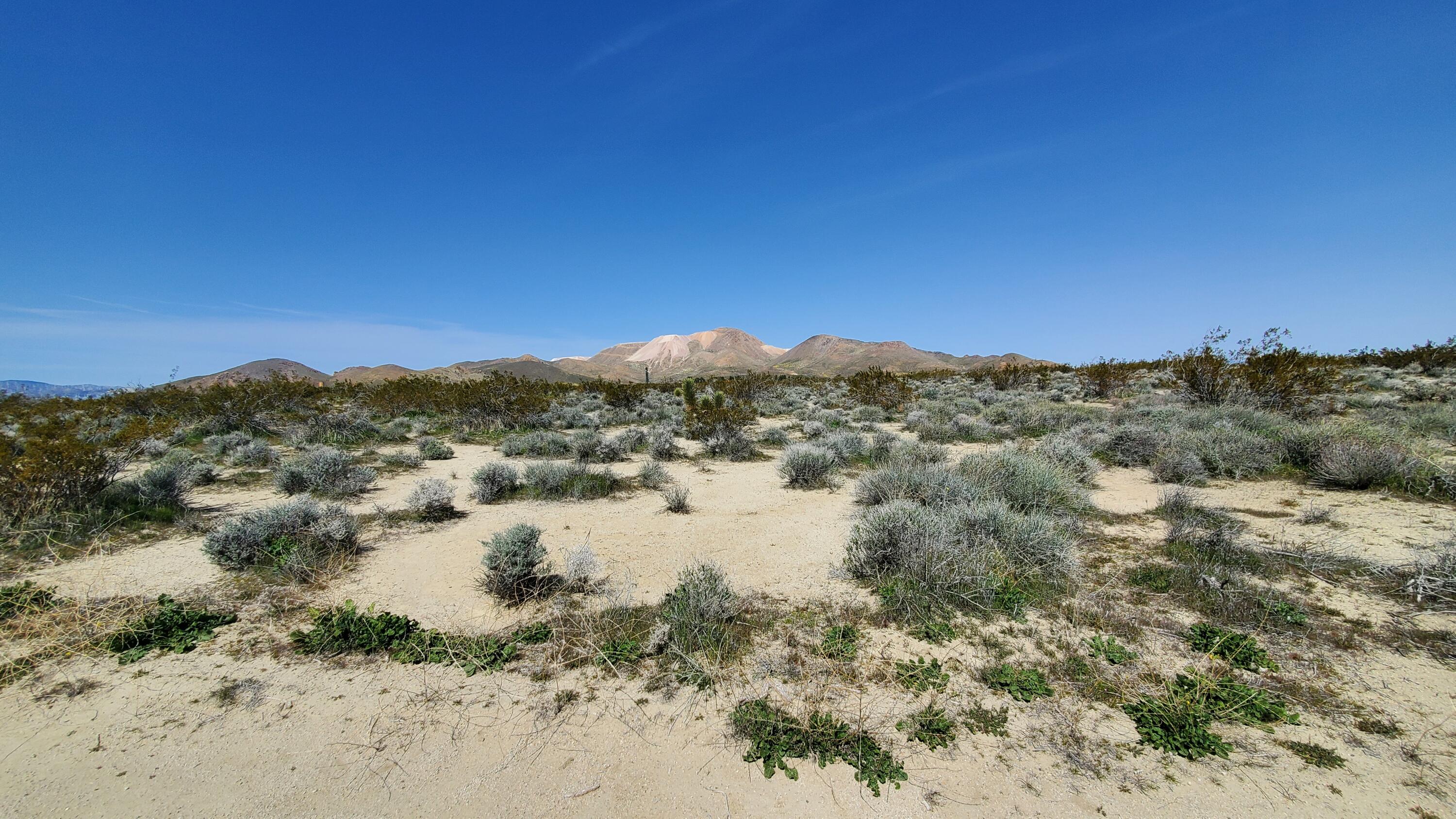 Vicinity 25th Street West Mojave, CA 93501 - Photo 5 of 26 a view of lake with mountain