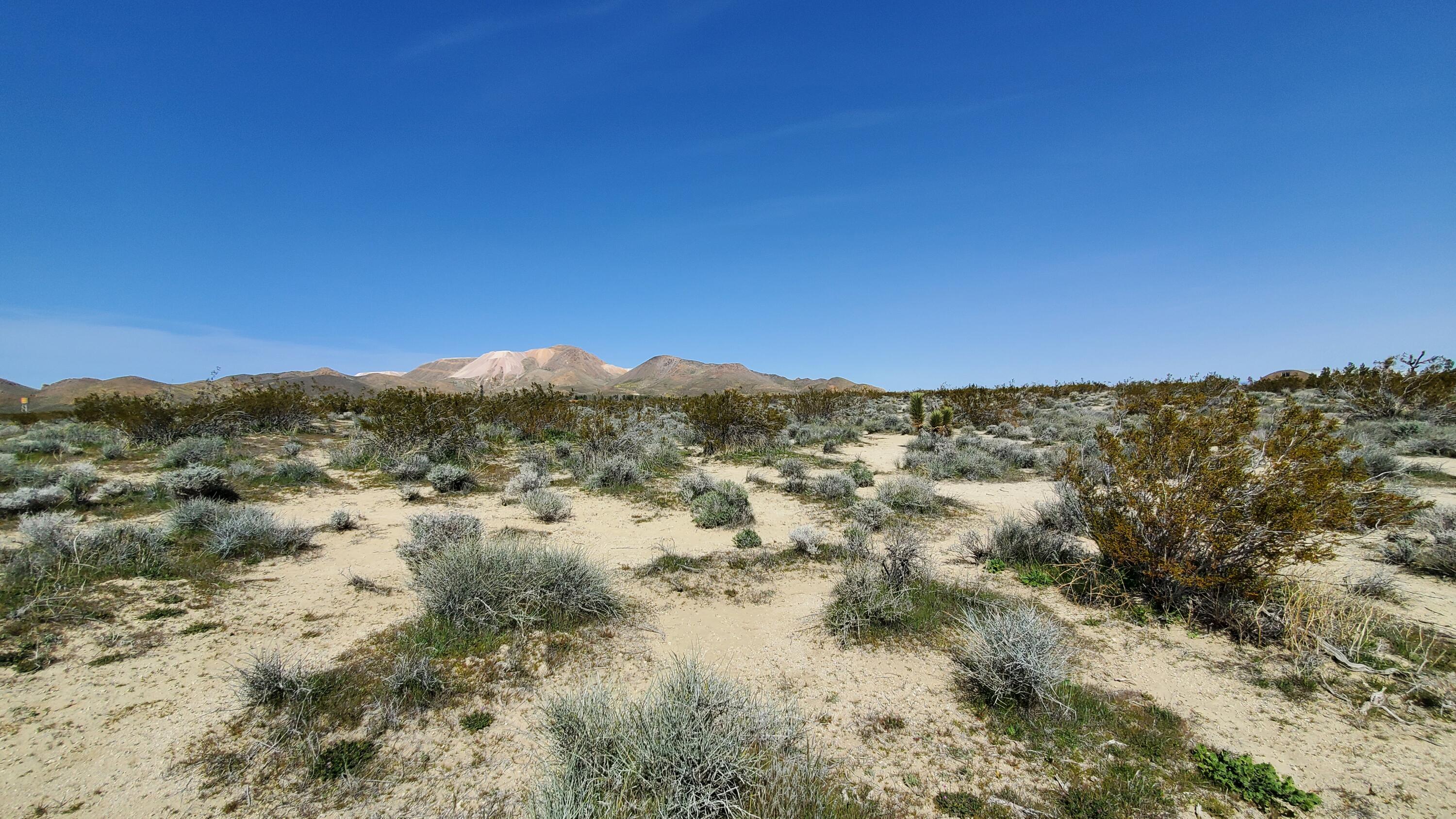 Vicinity 25th Street West Mojave, CA 93501 - Photo 6 of 26 a view of a lake with mountains in the background