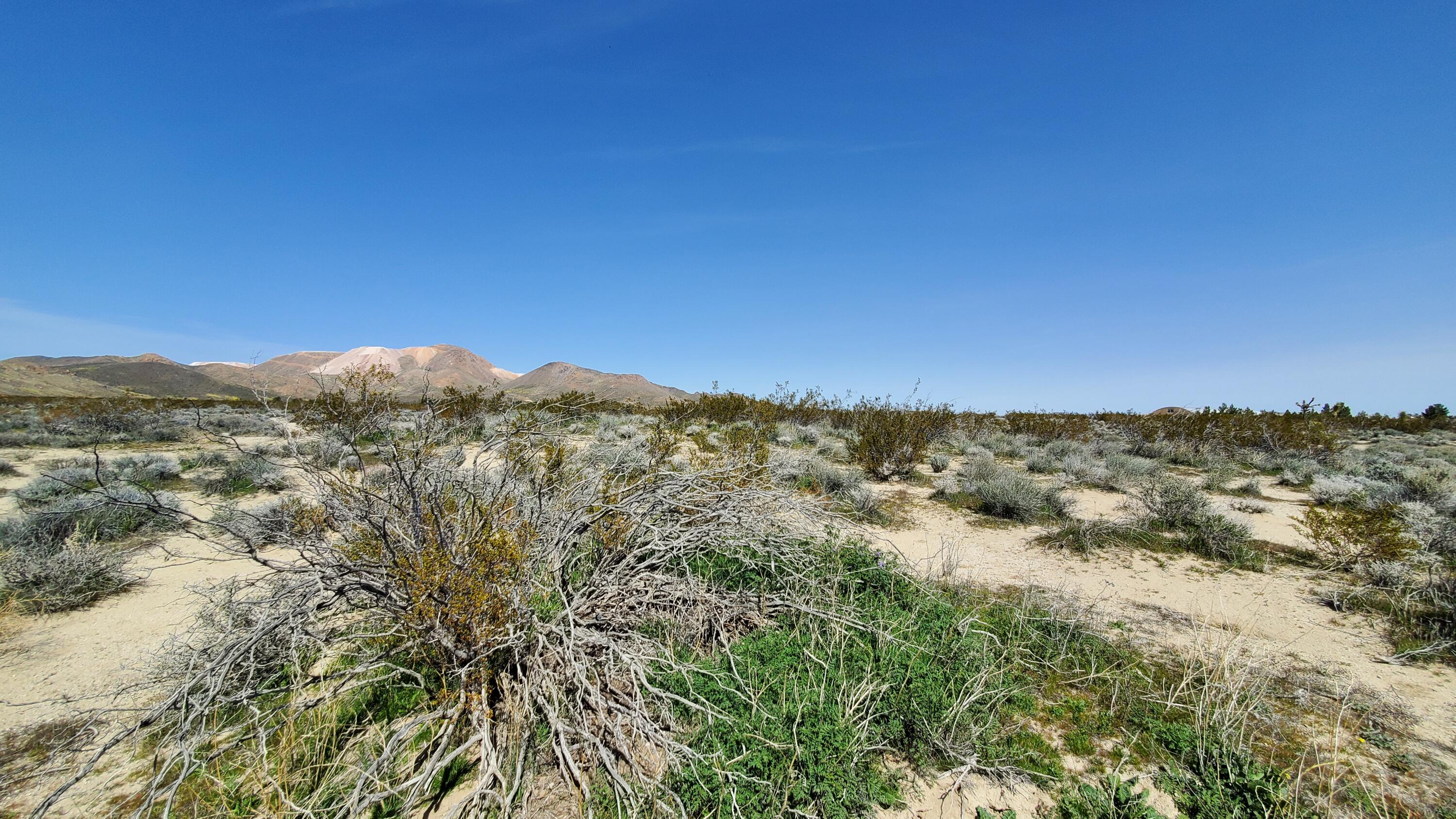 Vicinity 25th Street West Mojave, CA 93501 - Photo 7 of 26 a view of a large building with mountains in the background