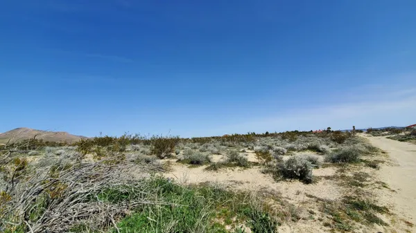 a view of a field
