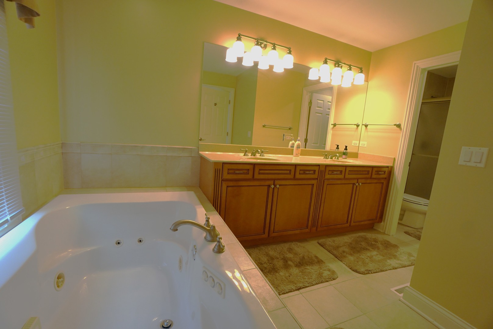 8 North Smith Street Palatine, IL 60067 - Photo 18 of 46 a bathroom with a tub sink and mirror