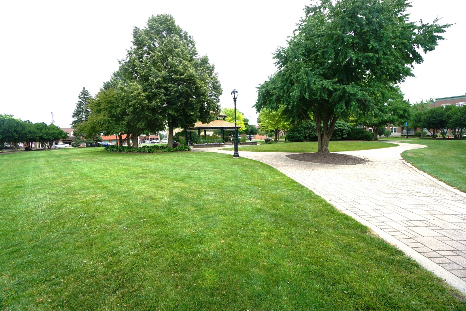 8 North Smith Street Palatine, IL 60067 - Photo 41 of 46 a view of a park with trees