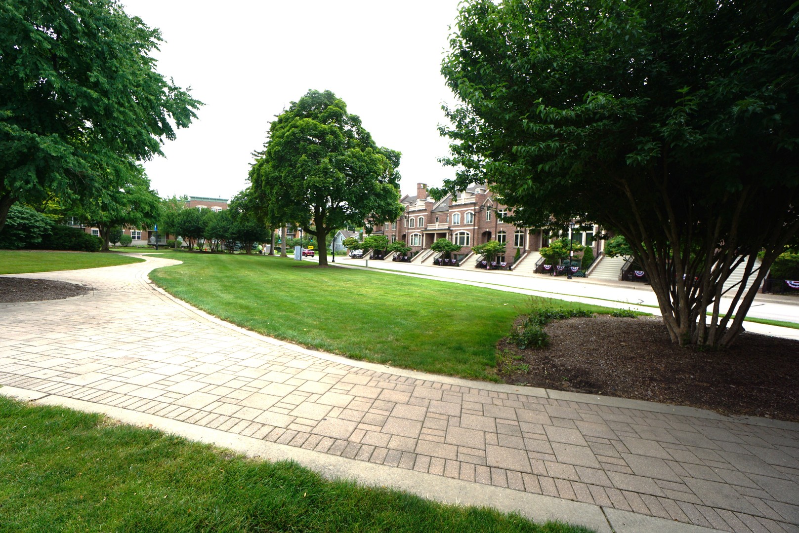 8 North Smith Street Palatine, IL 60067 - Photo 42 of 46 a view of a backyard with green space