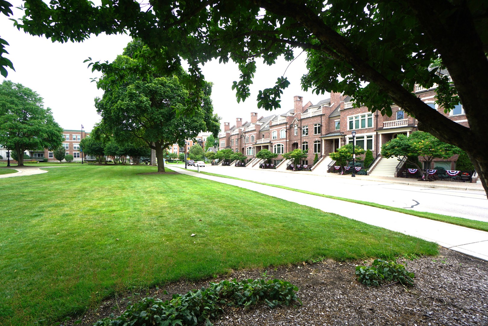 8 North Smith Street Palatine, IL 60067 - Photo 44 of 46 a view of a garden with a building in the background