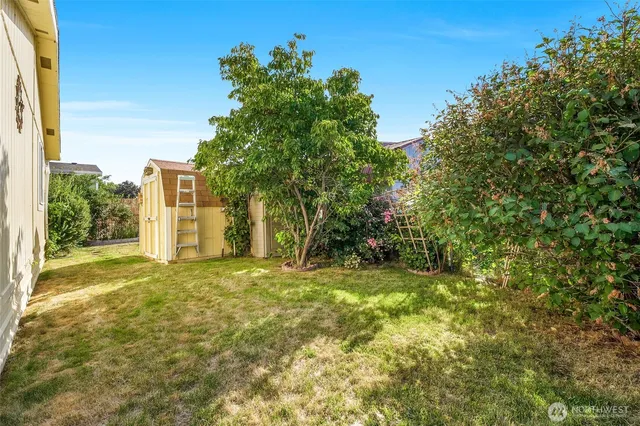 a view of a big yard with large trees