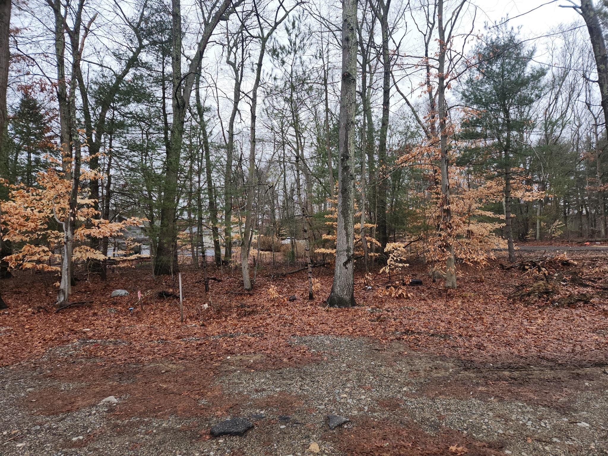 0 Barberry Road Norton, MA 02766 - Photo 3 of 4 Gallery Image 3