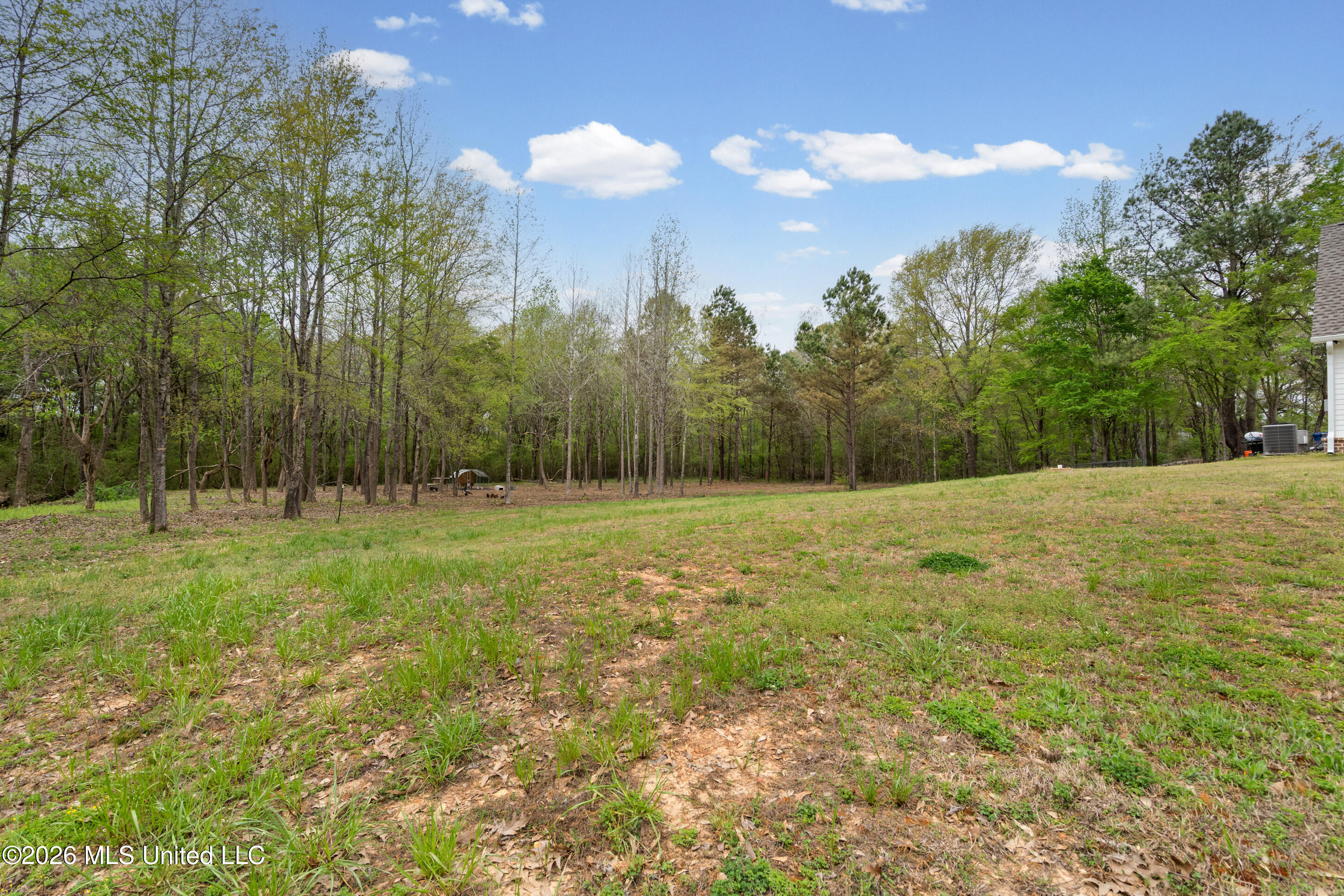 1795 Craft Road South Hernando, MS 38632 - Photo 23 of 30 28__dsc1941_print
