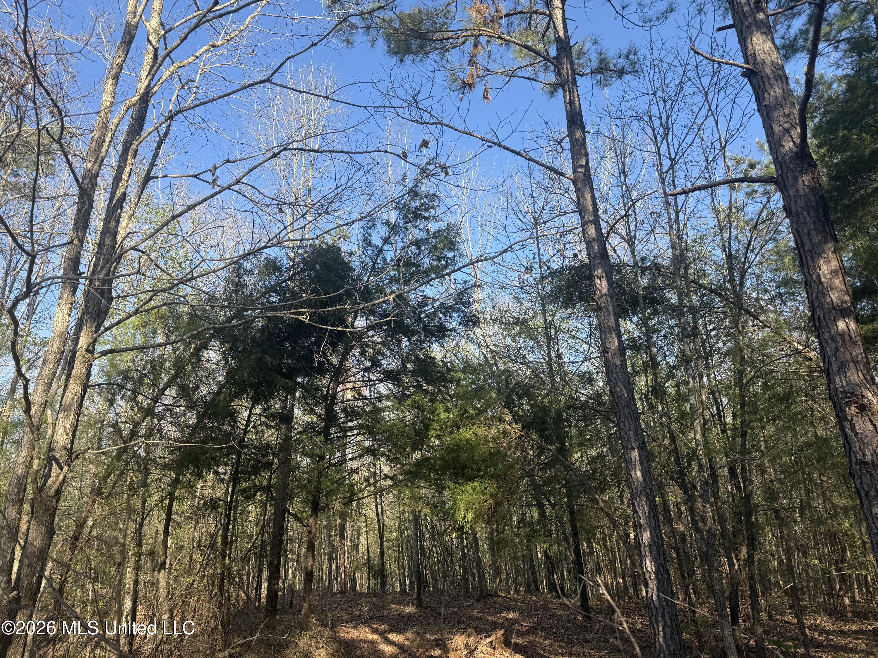 Robert Ford Road Waterford, MS 38685 - Photo 11 of 28 IMG_2683