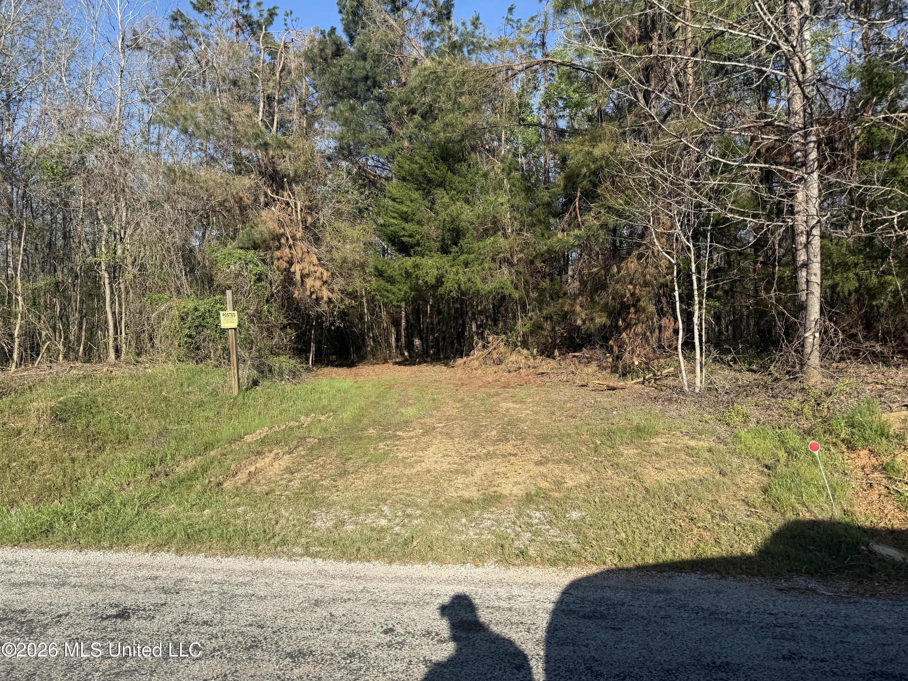 Robert Ford Road Waterford, MS 38685 - Photo 12 of 28 IMG_2686