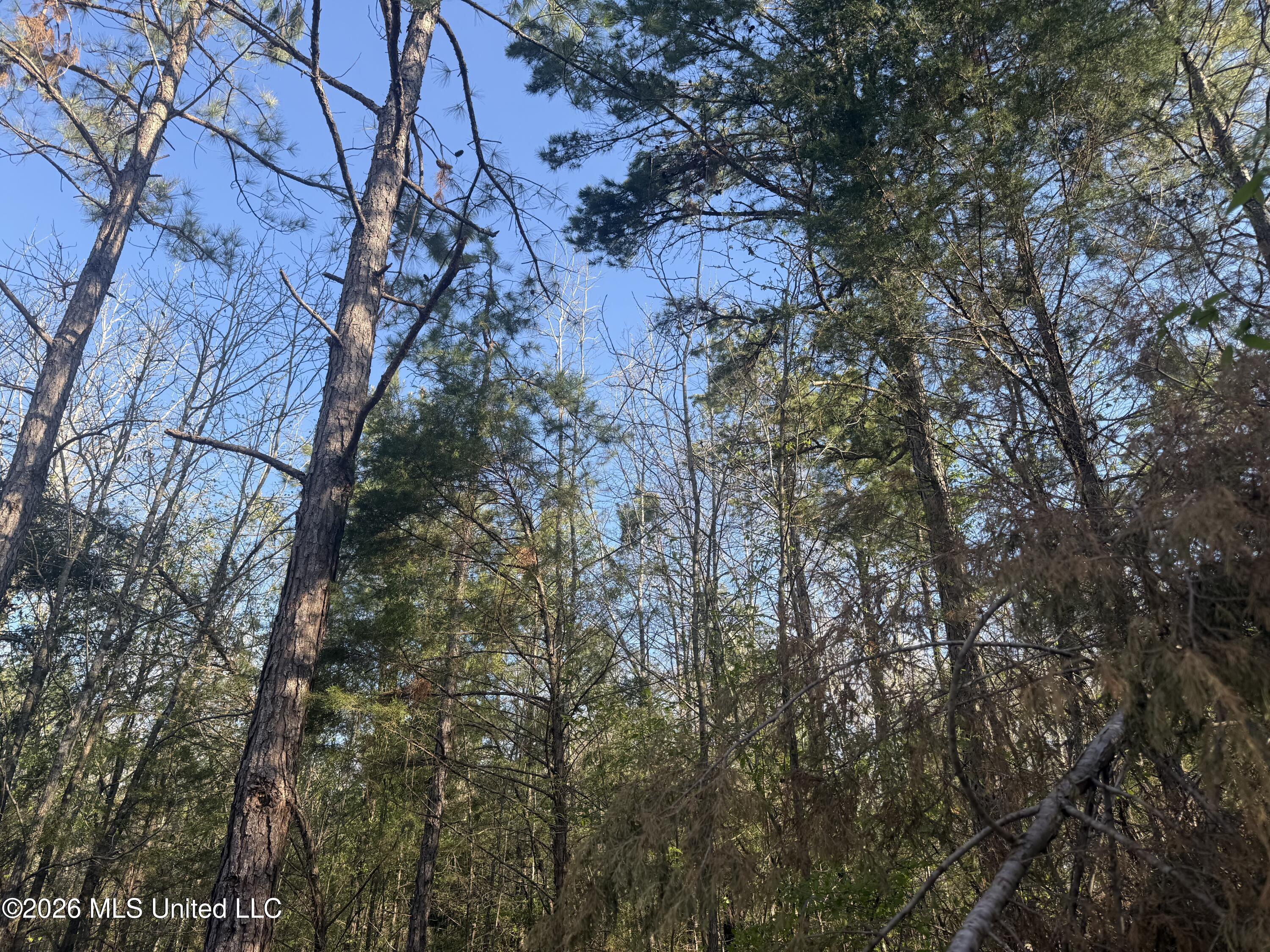 Robert Ford Road Waterford, MS 38685 - Photo 13 of 28 IMG_2685
