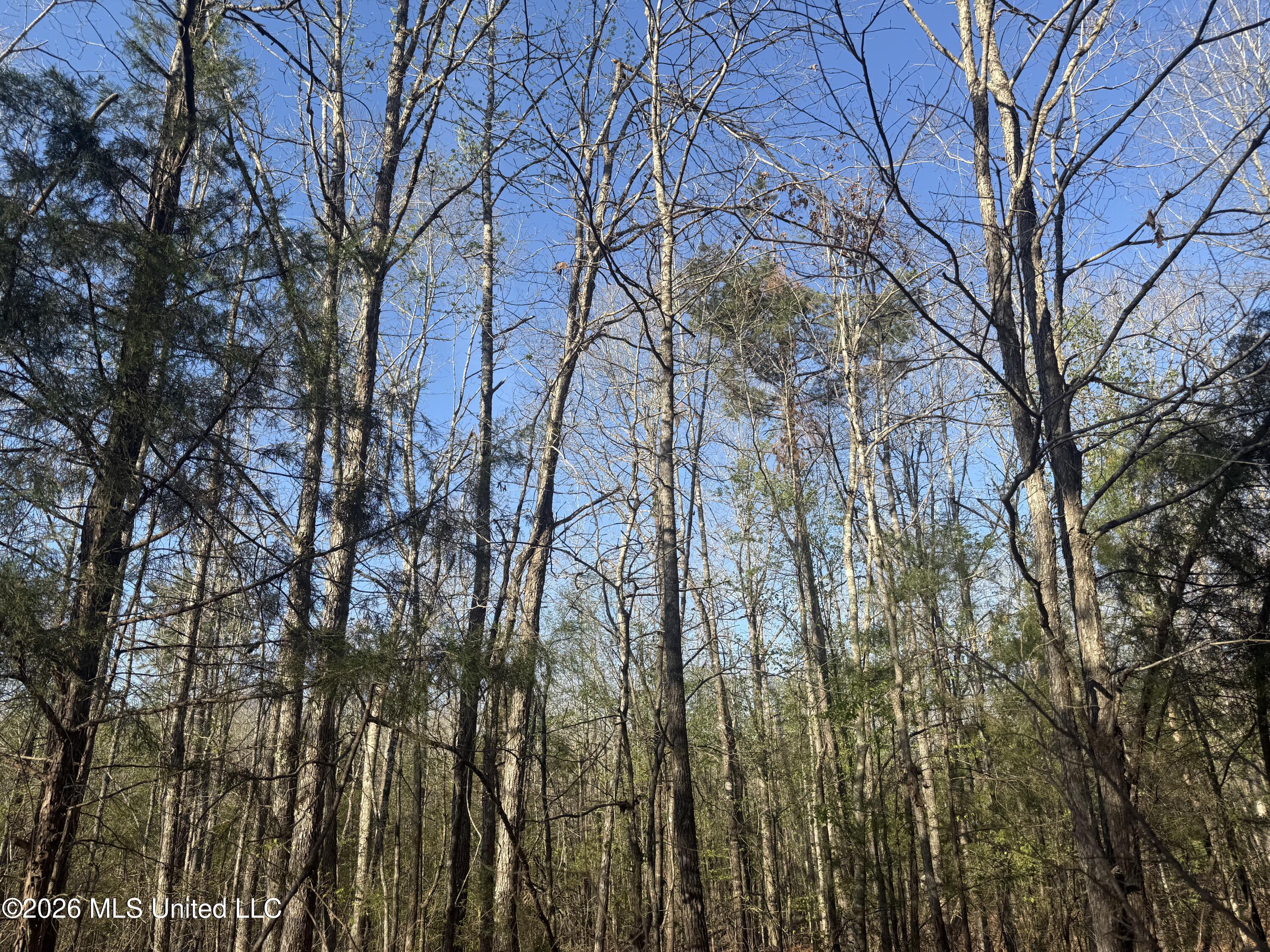 Robert Ford Road Waterford, MS 38685 - Photo 14 of 28 IMG_2684