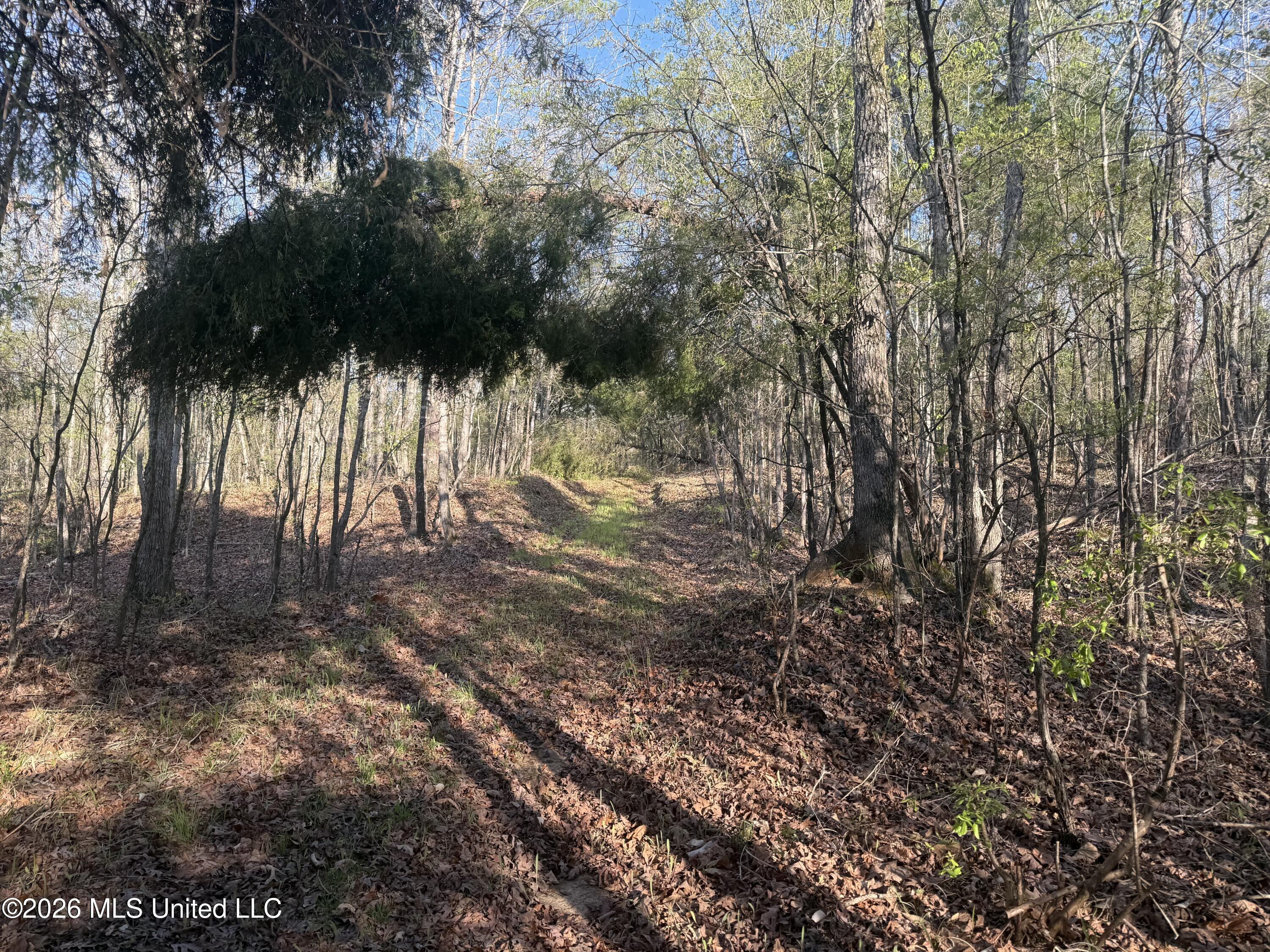 Robert Ford Road Waterford, MS 38685 - Photo 15 of 28 IMG_2681