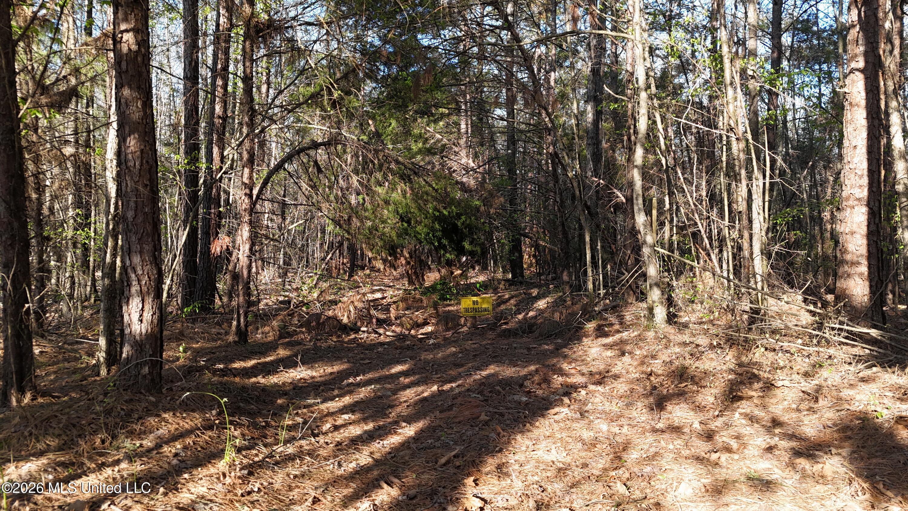 Robert Ford Road Waterford, MS 38685 - Photo 20 of 28 dji_fly_20260324_110550_0182_17770625255