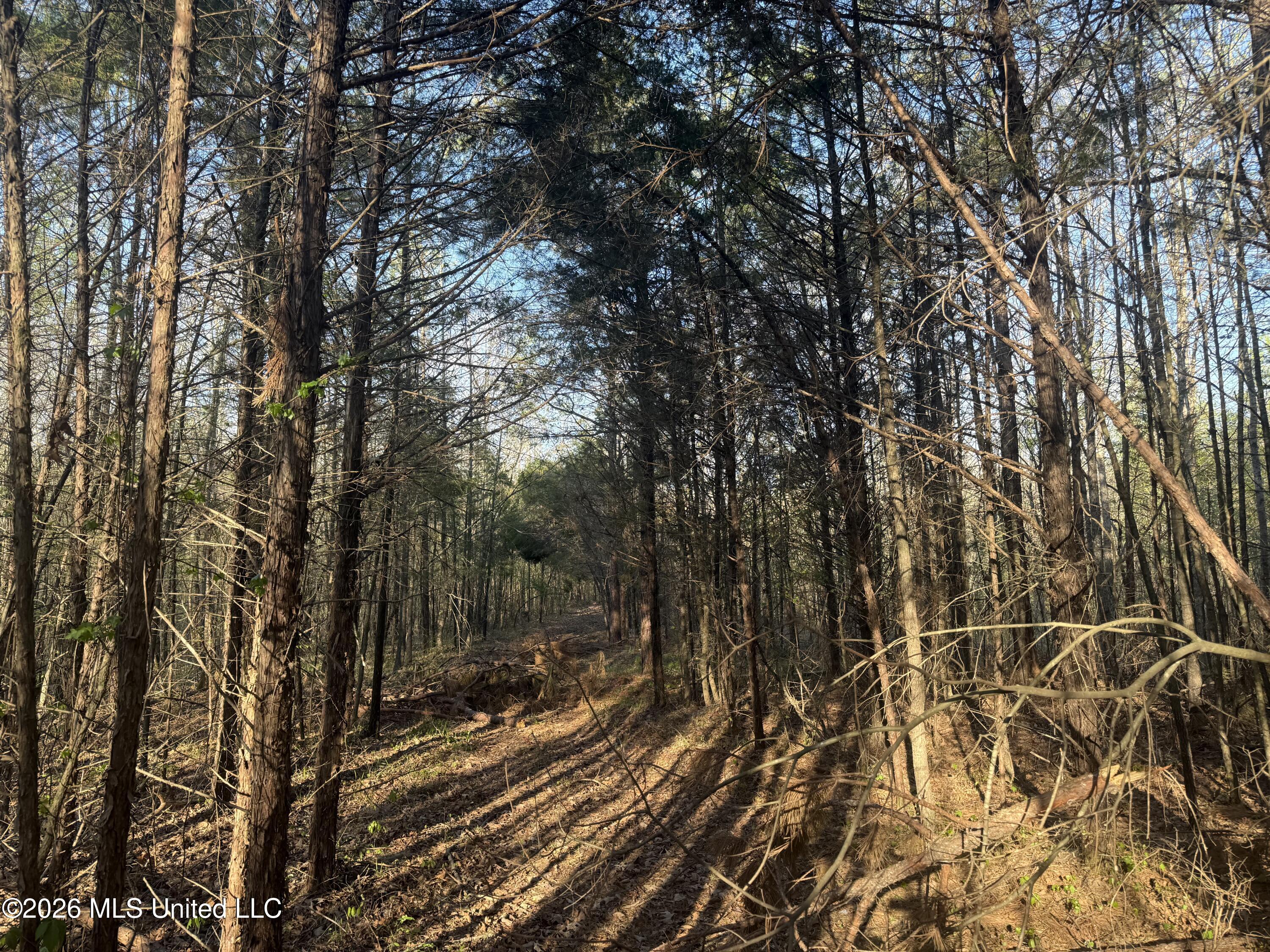 Robert Ford Road Waterford, MS 38685 - Photo 2 of 28 IMG_2674