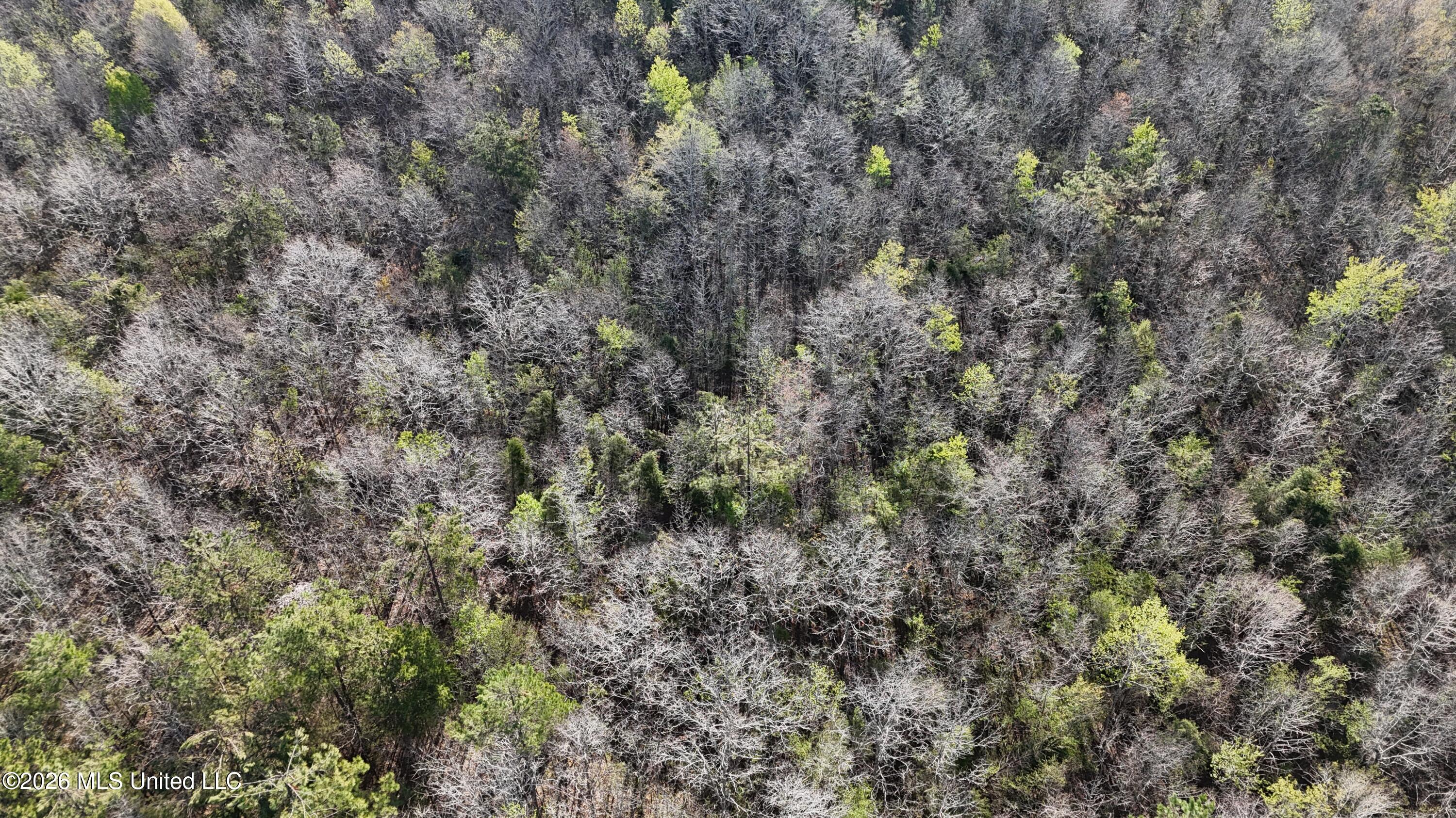 Robert Ford Road Waterford, MS 38685 - Photo 22 of 28 dji_fly_20260324_110508_0180_17770625264