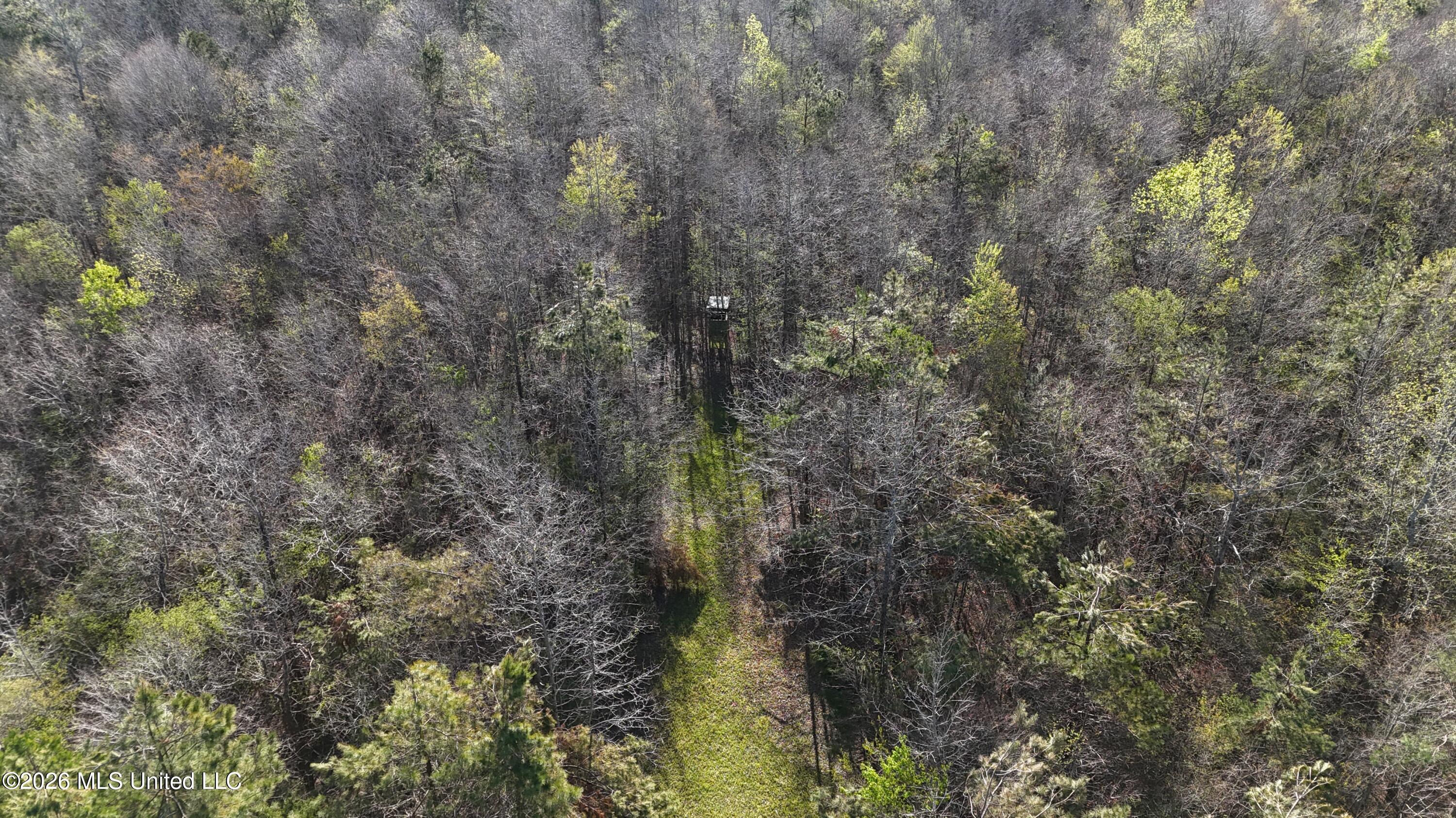 Robert Ford Road Waterford, MS 38685 - Photo 23 of 28 dji_fly_20260324_110454_0179_17770625269