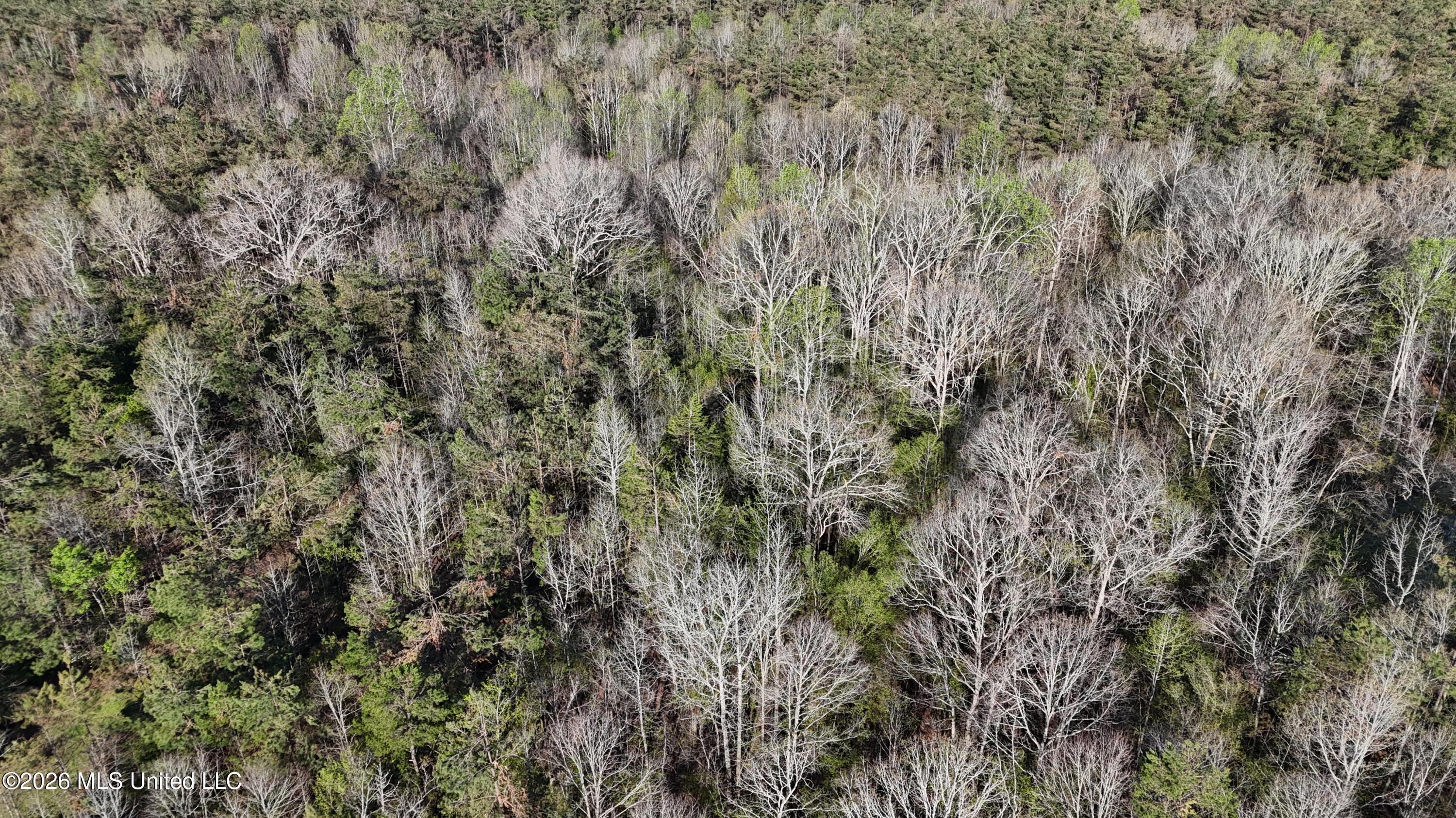 Robert Ford Road Waterford, MS 38685 - Photo 24 of 28 dji_fly_20260324_110402_0177_17770625278