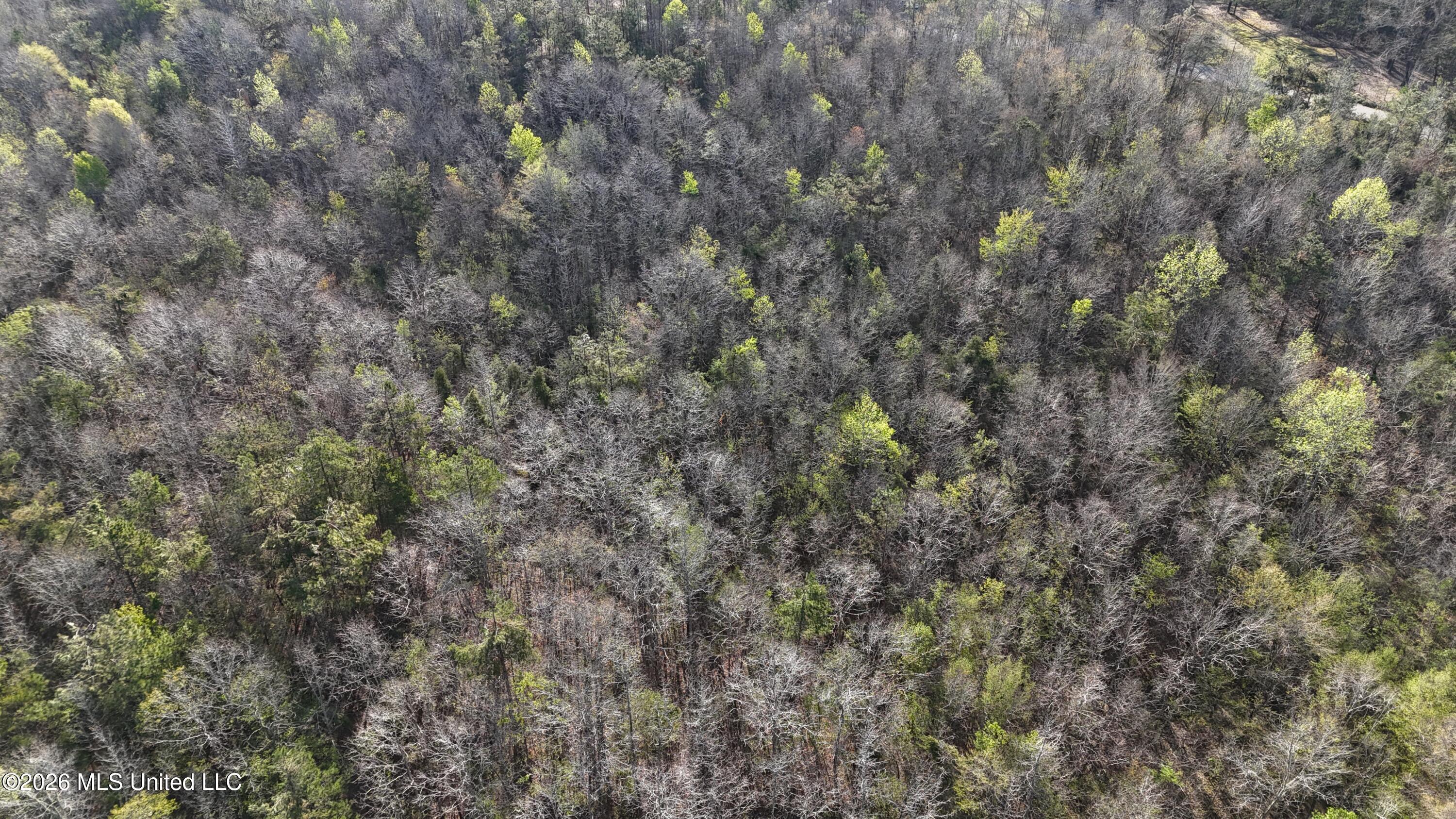 Robert Ford Road Waterford, MS 38685 - Photo 26 of 28 dji_fly_20260324_110328_0175_17770625286