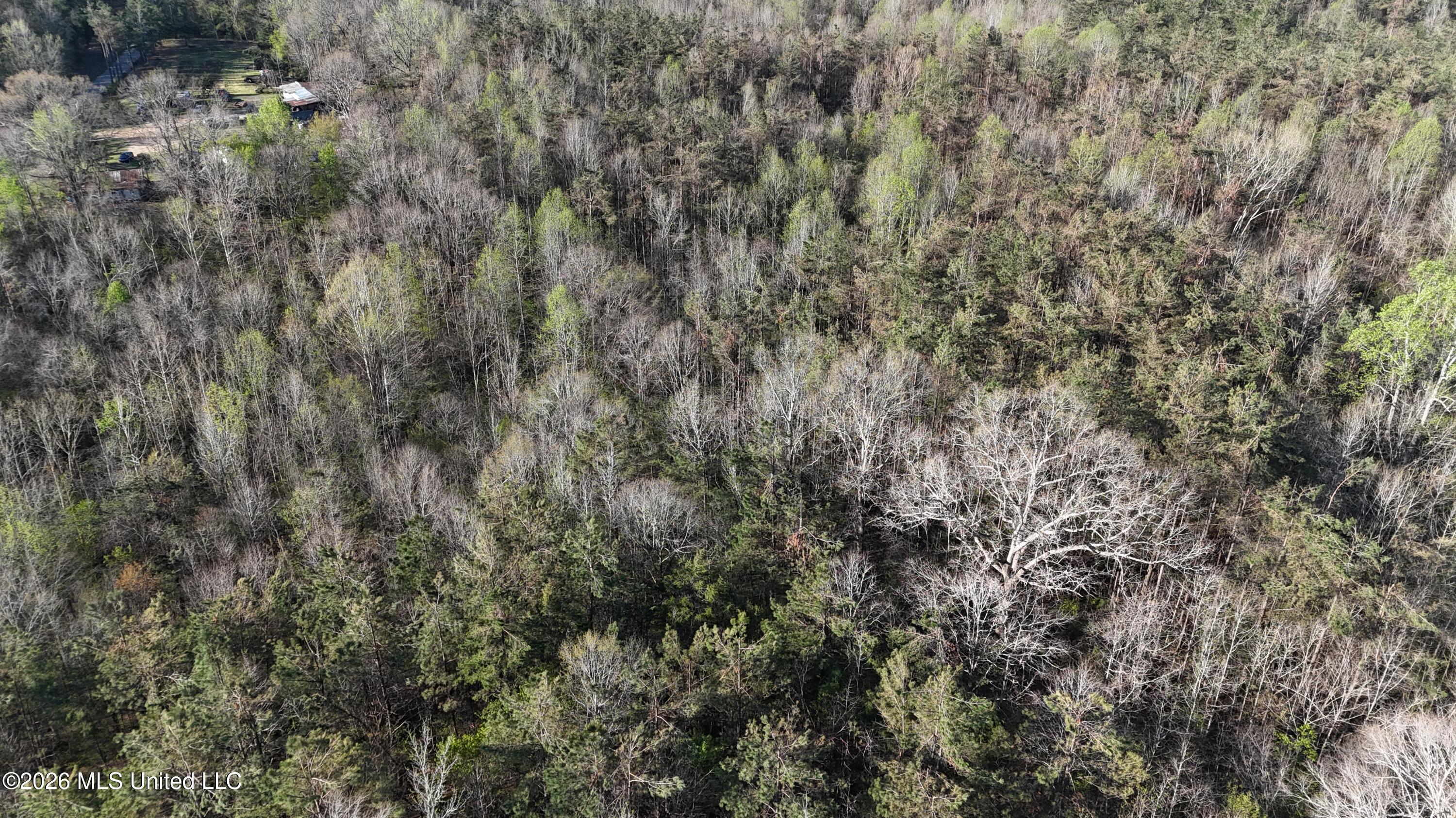 Robert Ford Road Waterford, MS 38685 - Photo 27 of 28 dji_fly_20260324_110412_0178_17770625273