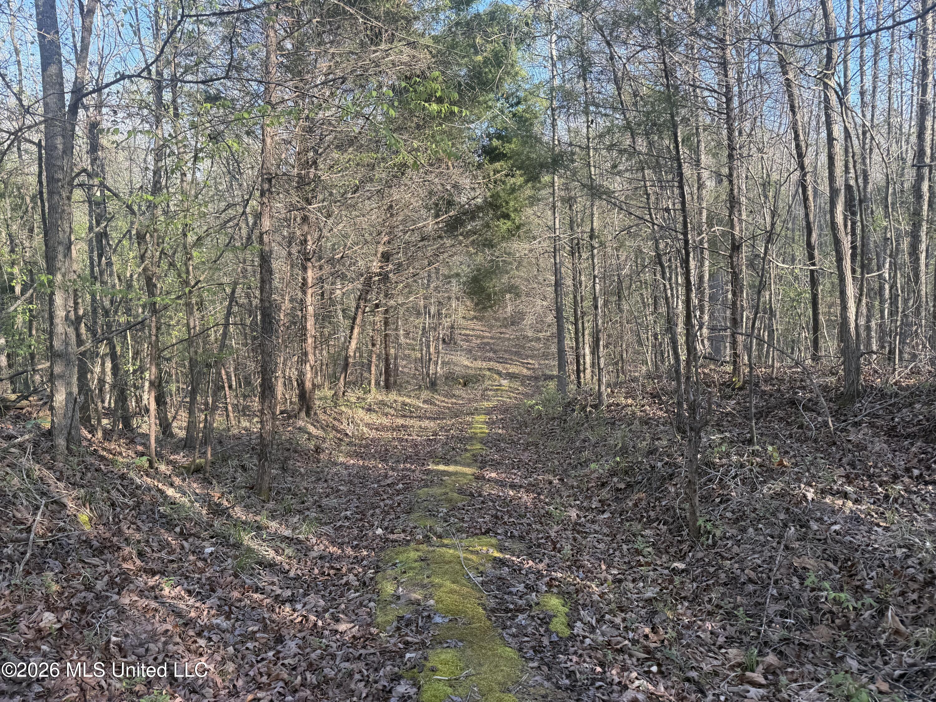 Robert Ford Road Waterford, MS 38685 - Photo 5 of 28 IMG_2677