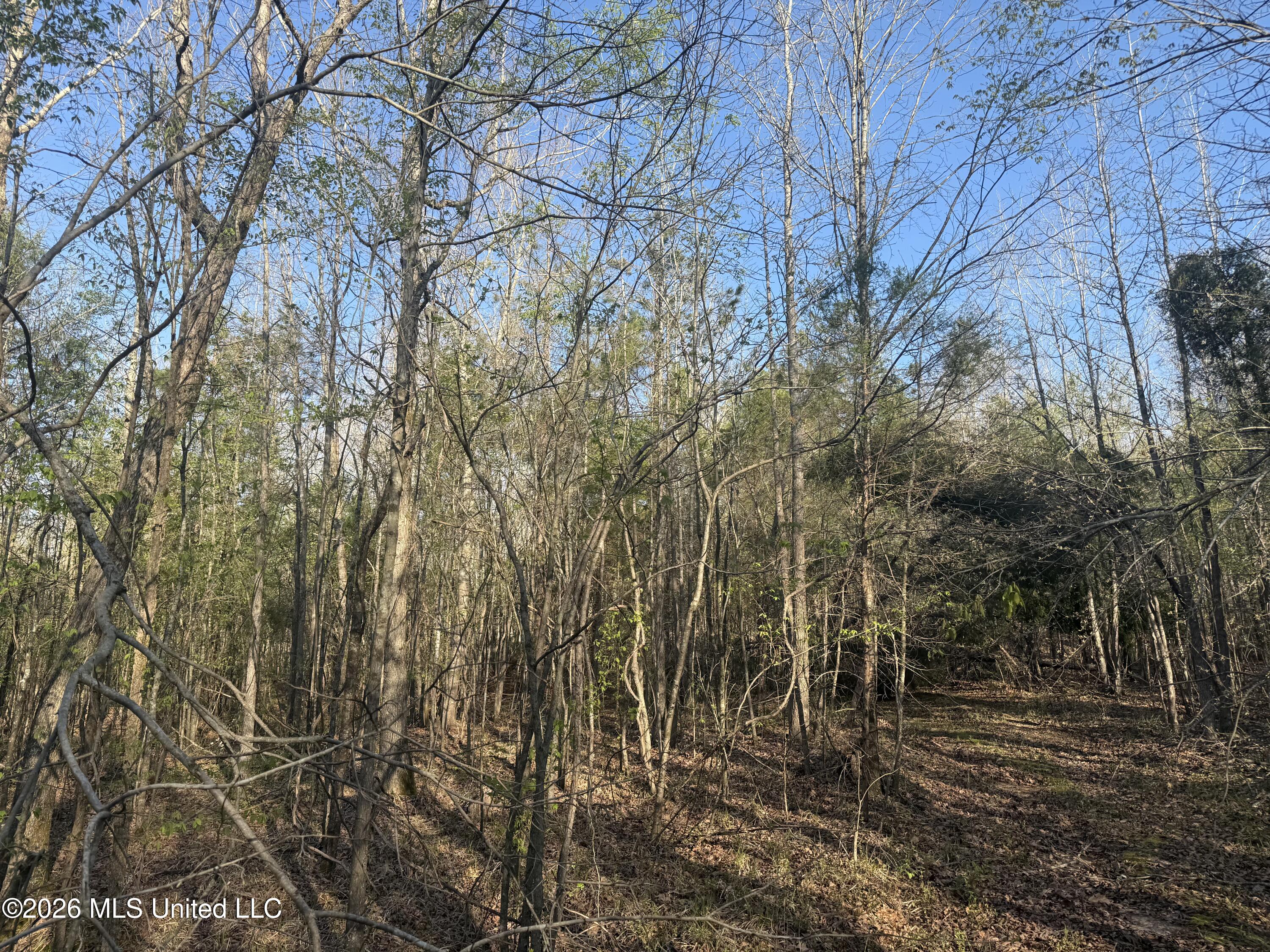 Robert Ford Road Waterford, MS 38685 - Photo 7 of 28 IMG_2678