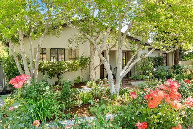 a view of a garden with plants