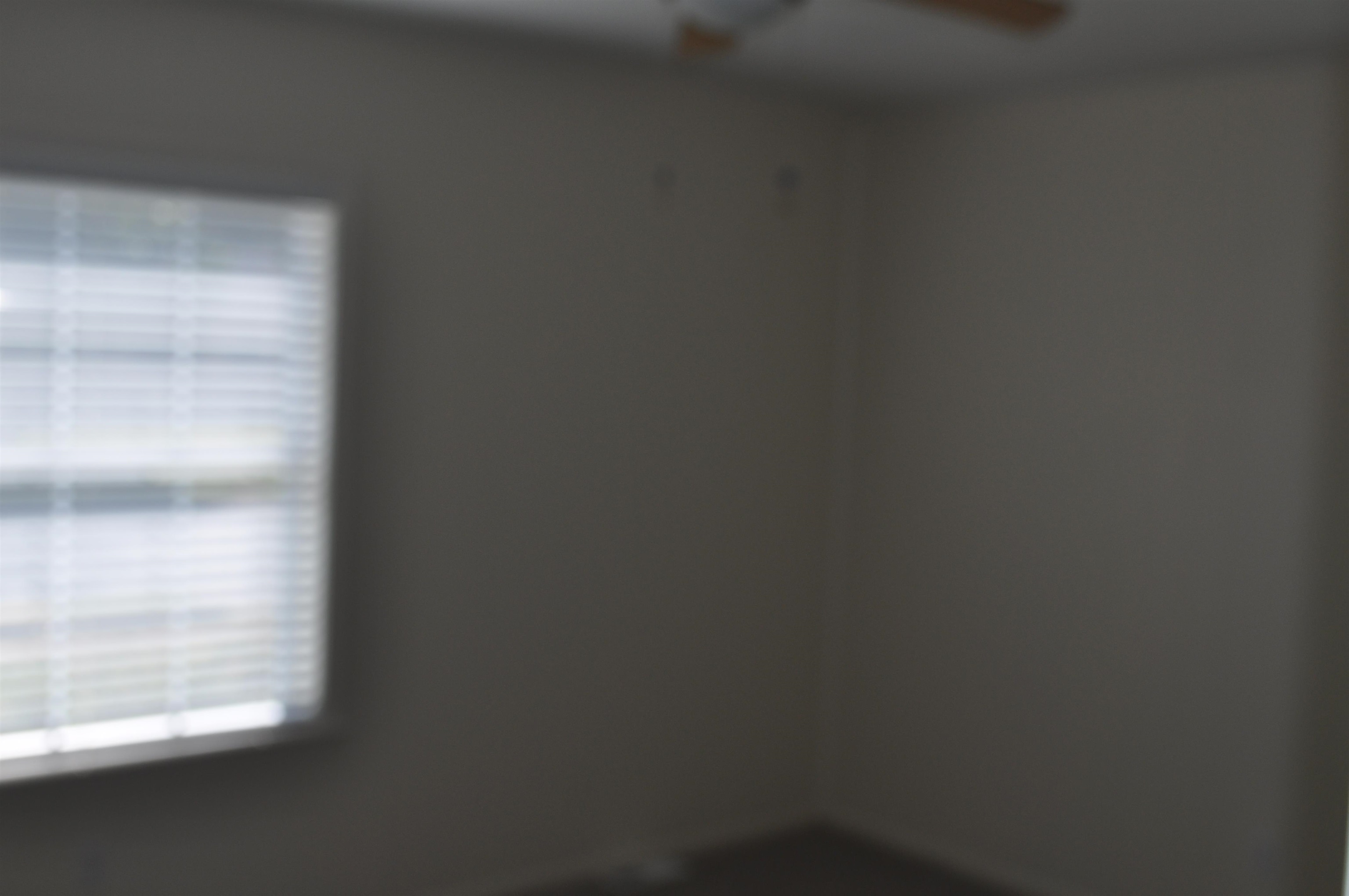 5016 Princeton Road Memphis, TN 38117 - Photo 16 of 20 a close up of a wall