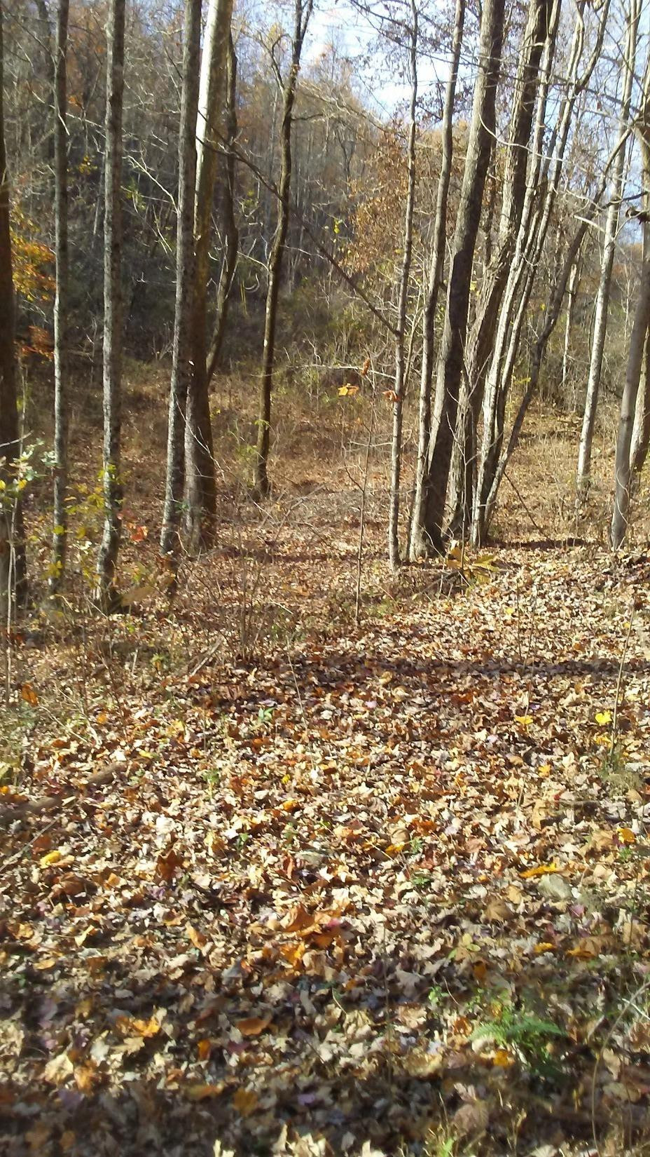 999 Highway 2004-duke Powell Road McKee, KY 40447 - Photo 3 of 10 Photo 3