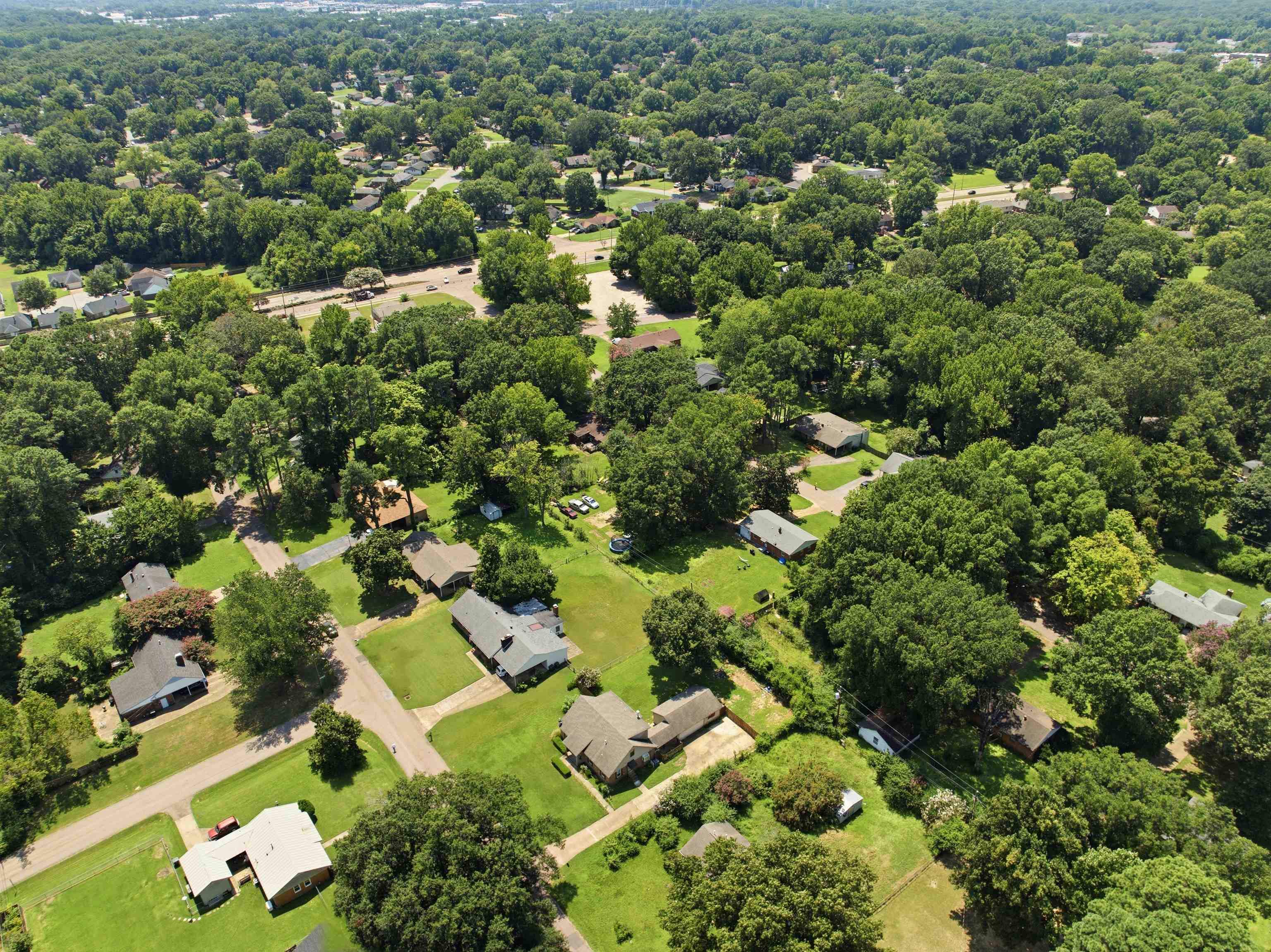 3007 Ruskin Road Bartlett, TN 38134 - Photo 33 of 37 Aerial perspective showcasing residential properties amidst abundant mature trees