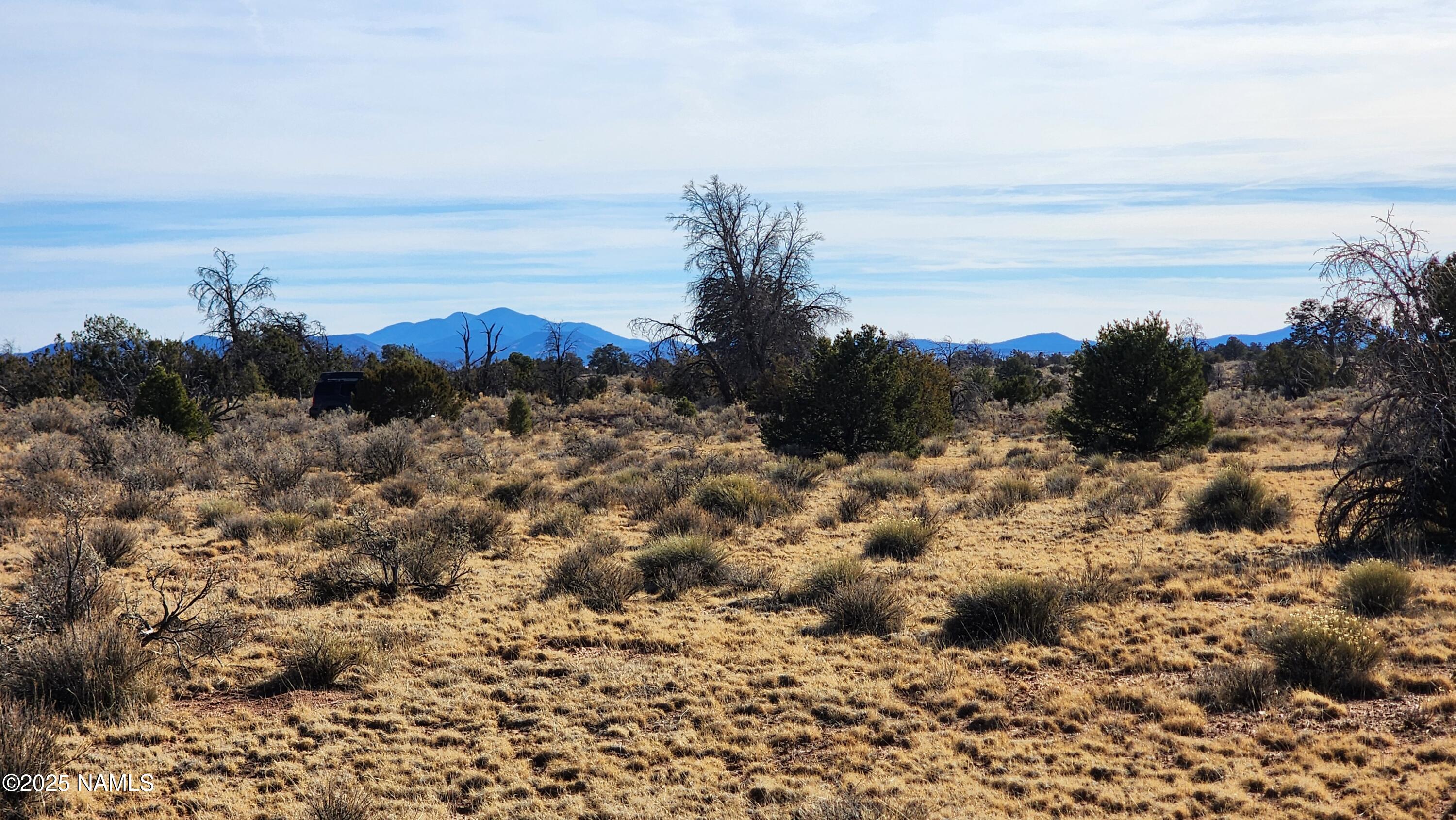 5373 Red Butte Road Williams, AZ 86046 - Photo 4 of 33 1000024093