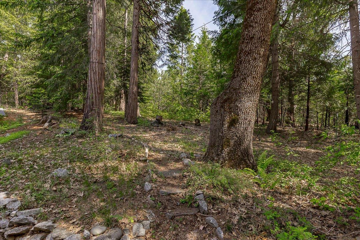 35580 Culberson Road Alta, CA 95701 - Photo 38 of 60