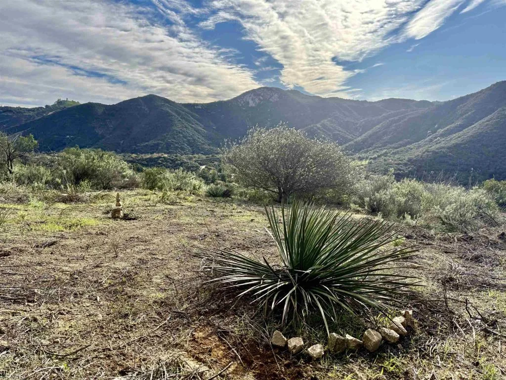 a view of a big yard with mountain