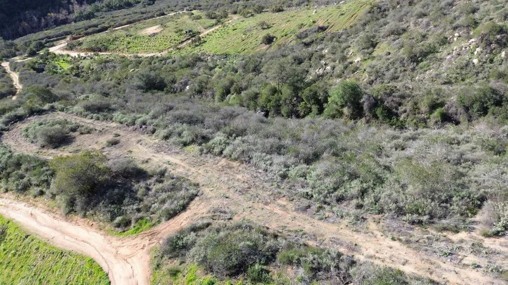 De Luz Murrieta Road Fallbrook, CA 92028 - Photo 12 of 35 a view of a forest with a tree