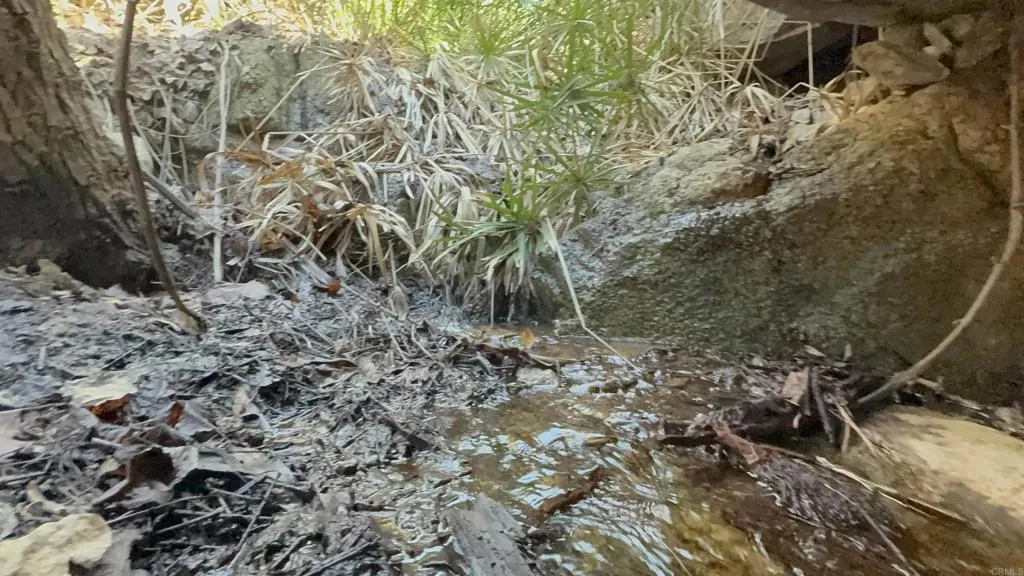 De Luz Murrieta Road Fallbrook, CA 92028 - Photo 16 of 22 Natural Spring