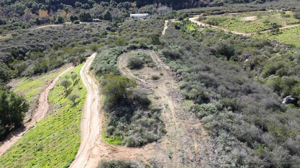 De Luz Murrieta Road Fallbrook, CA 92028 - Photo 2 of 35 a view of a yard with plants and large trees