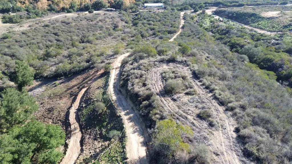 De Luz Murrieta Road Fallbrook, CA 92028 - Photo 23 of 35 a view of a forest with a forest